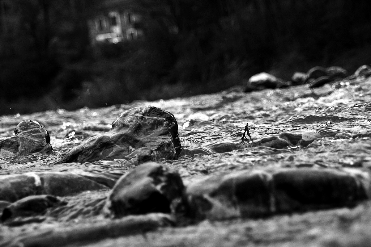 Panta rei (tutto scorre..)