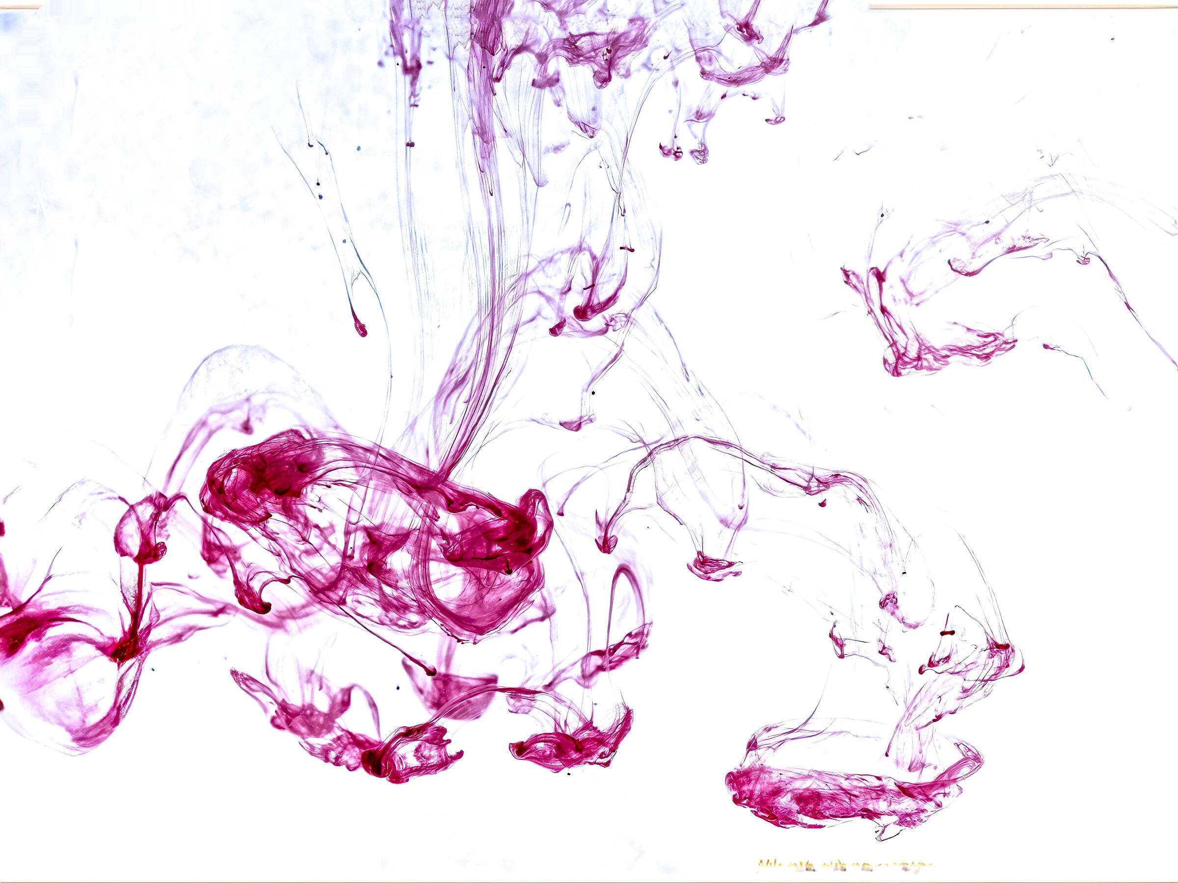 ABSTRACTION 1