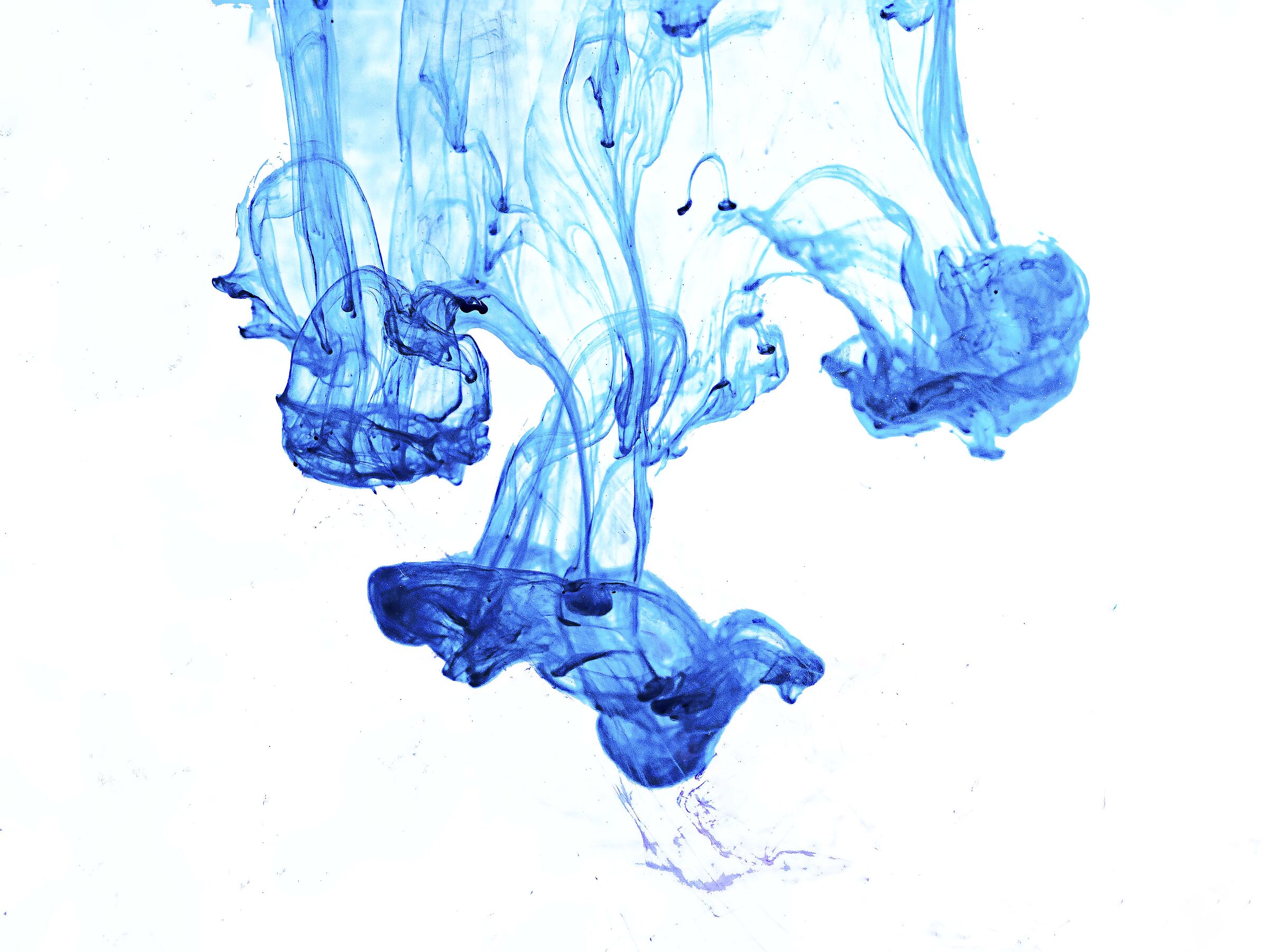 ASYTATION 2