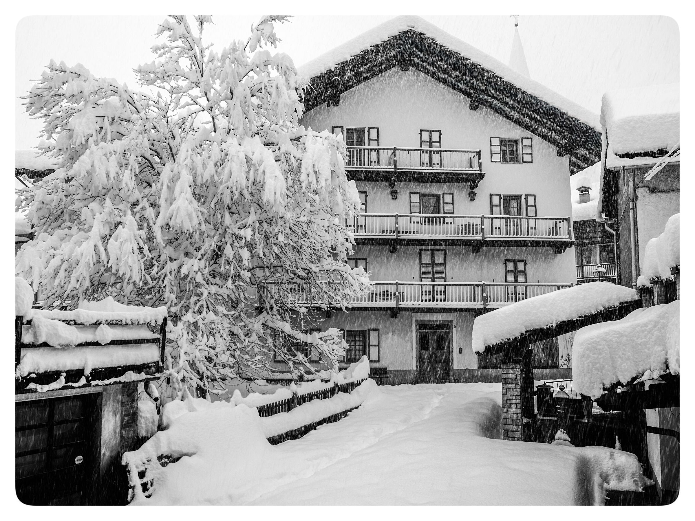 Neve di marzo .. Gressoney Valle D'Aosta