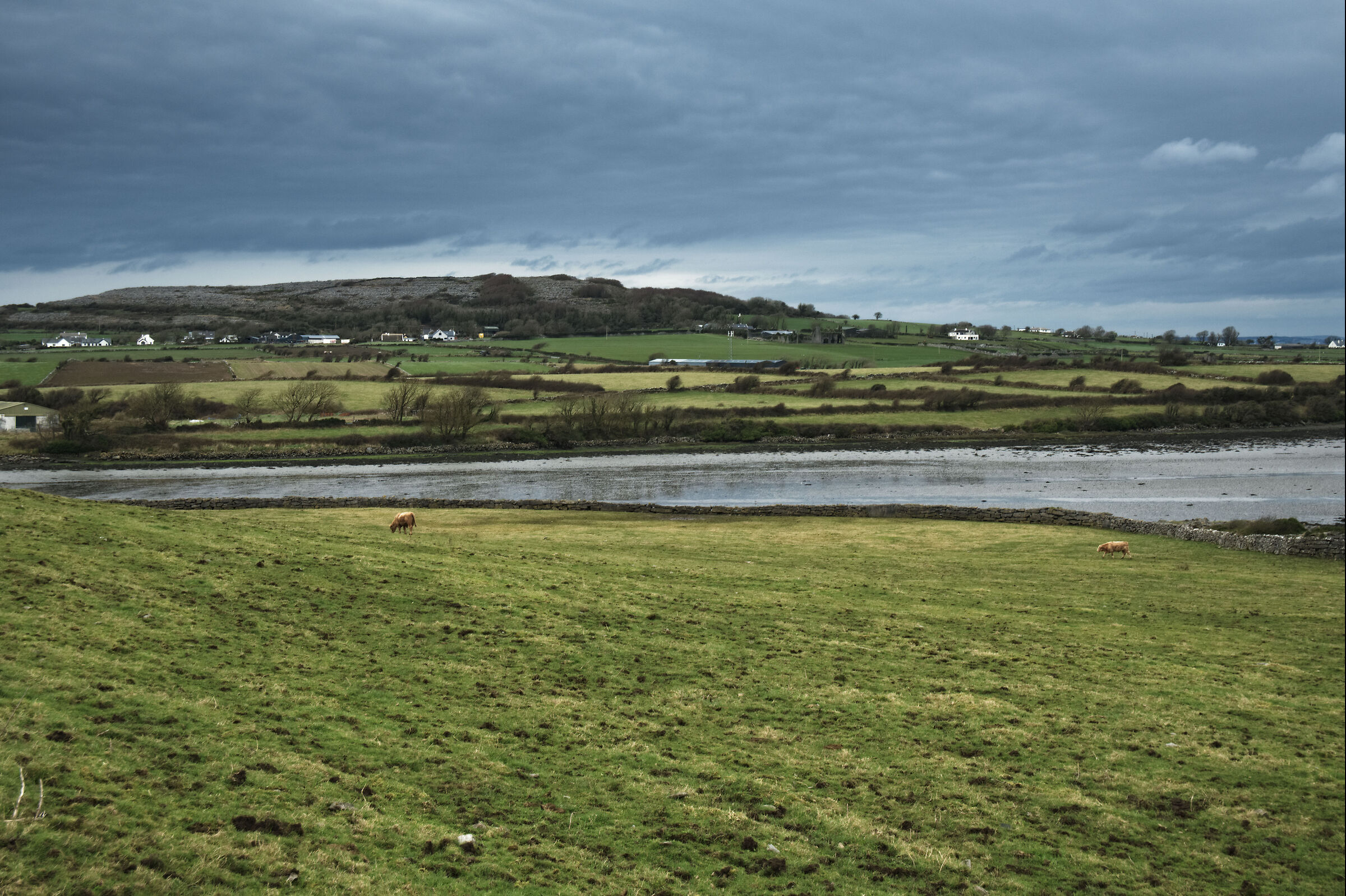 Doolin's countryside