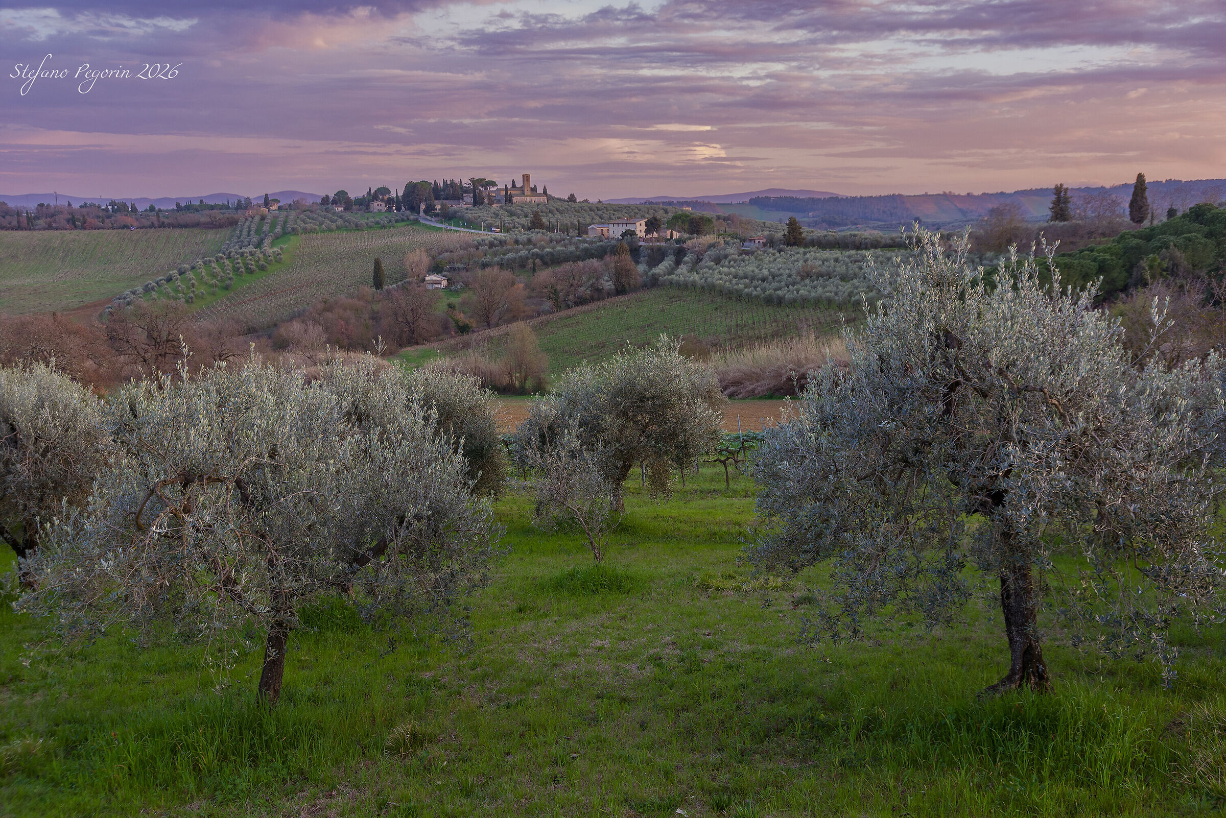 Tuscan Landscape 2