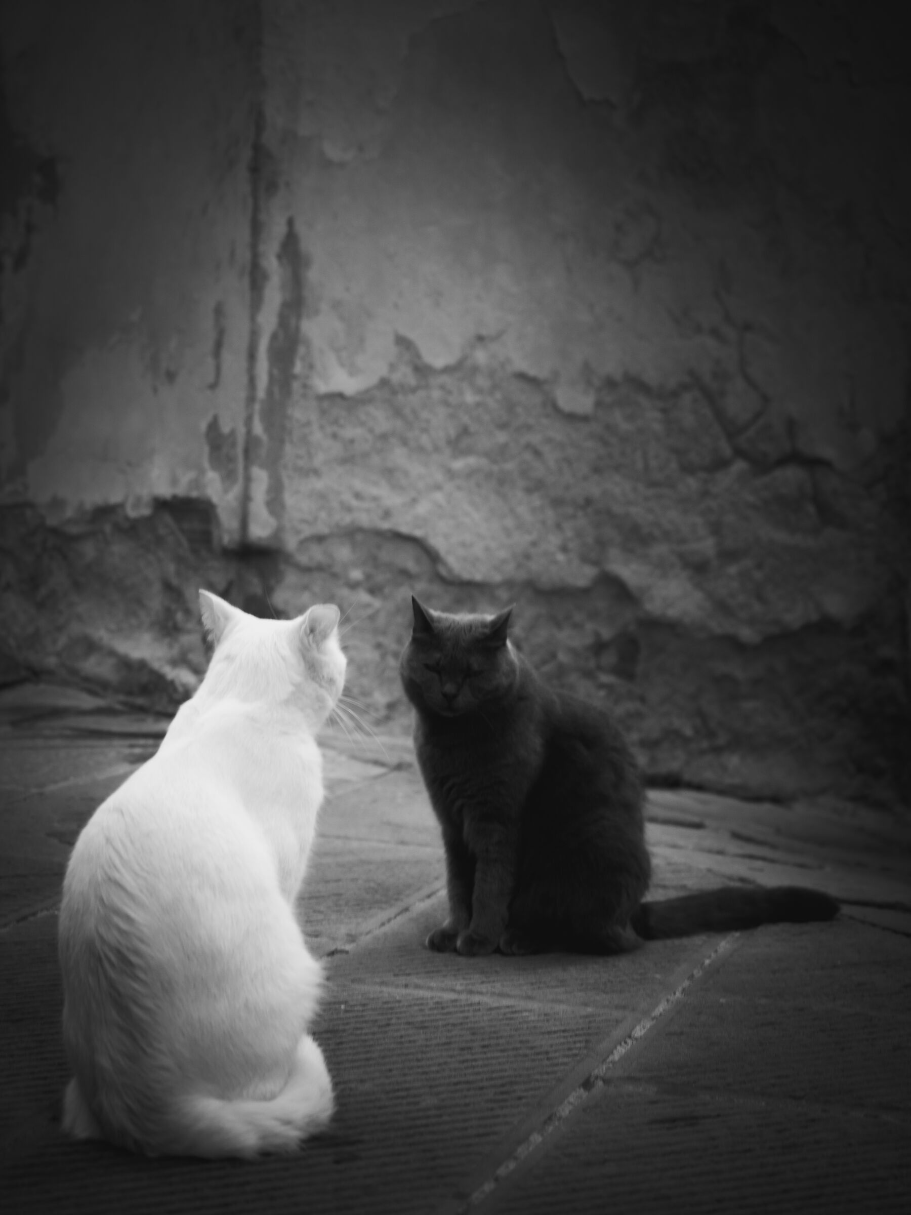 Untitled Photo