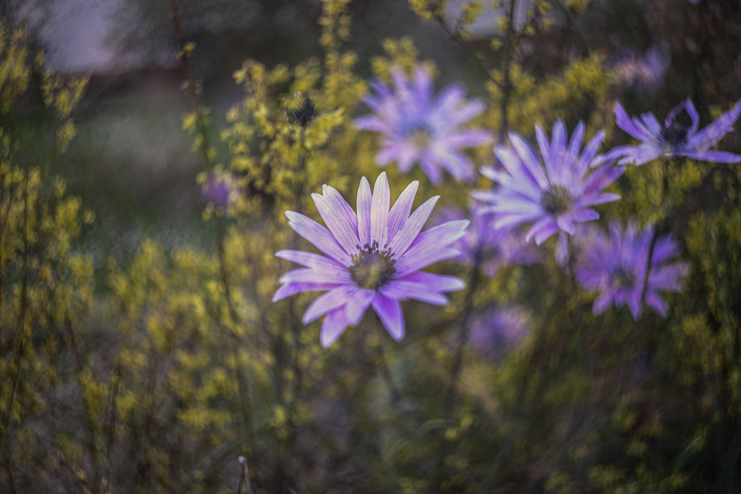Untitled Photo