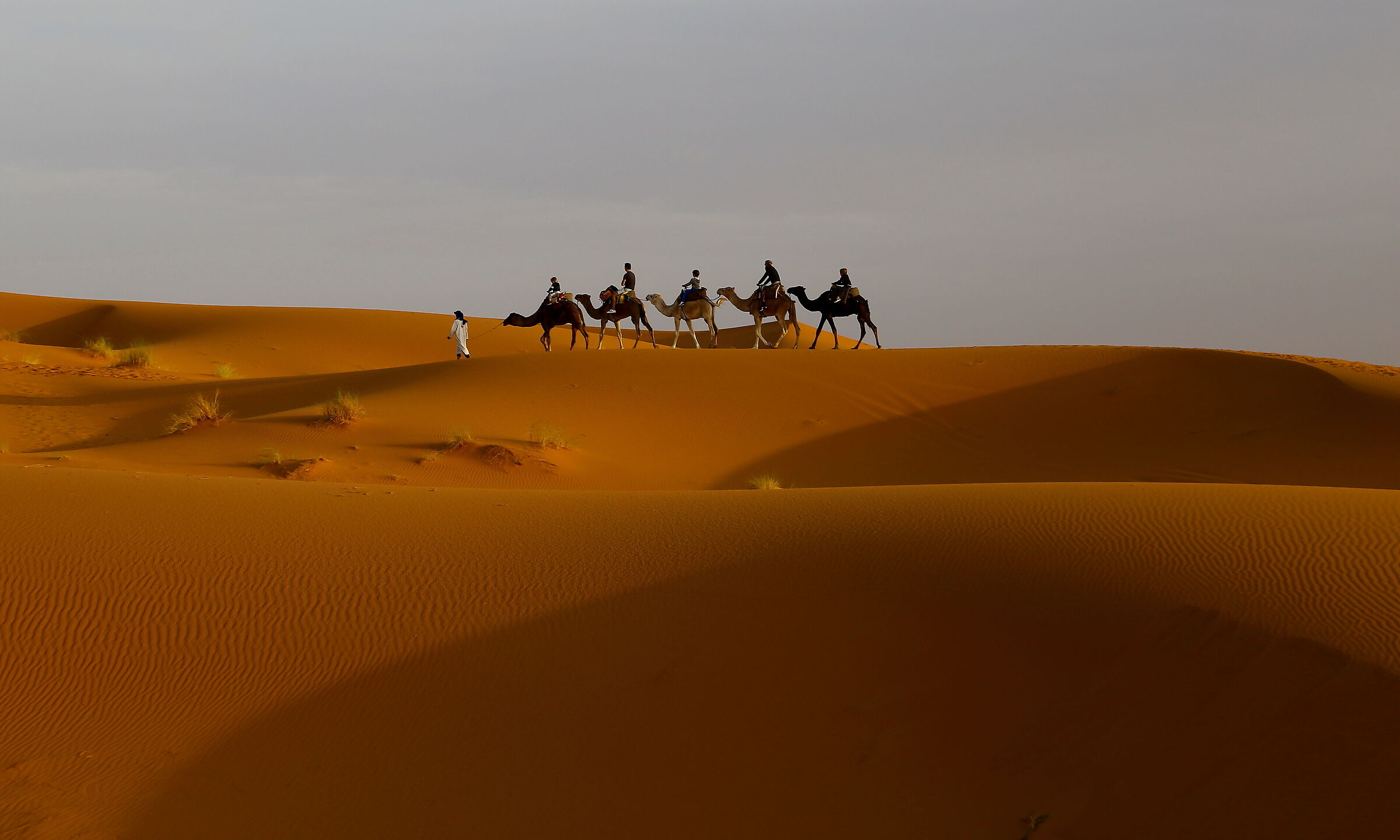 Desertica