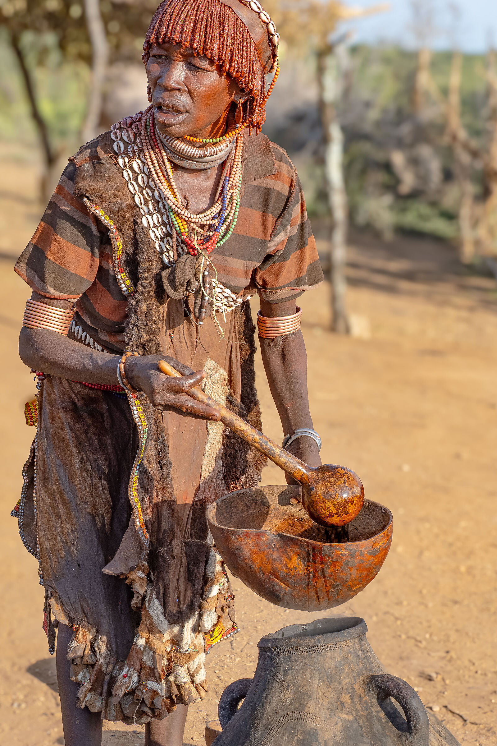 Ethiopian coffee... only arabica!