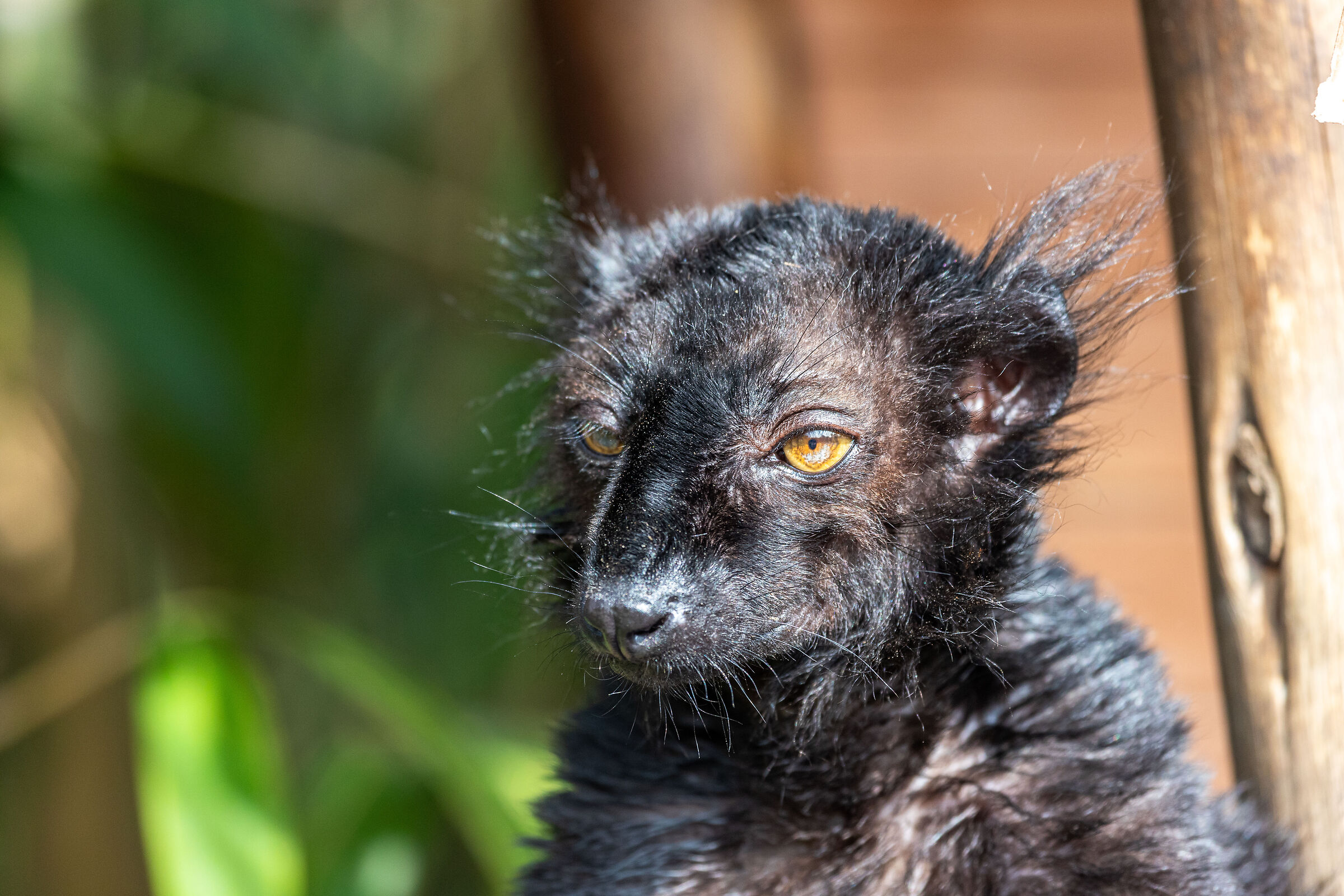 In the morning as soon as you wake up