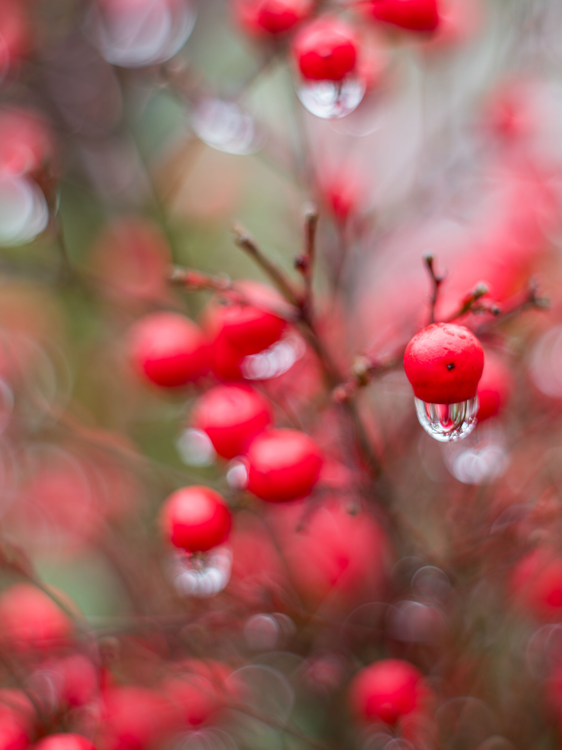 drop