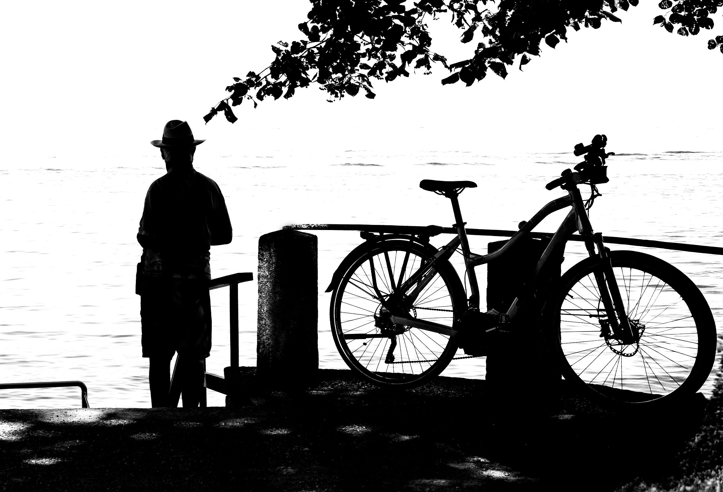 lakefront
