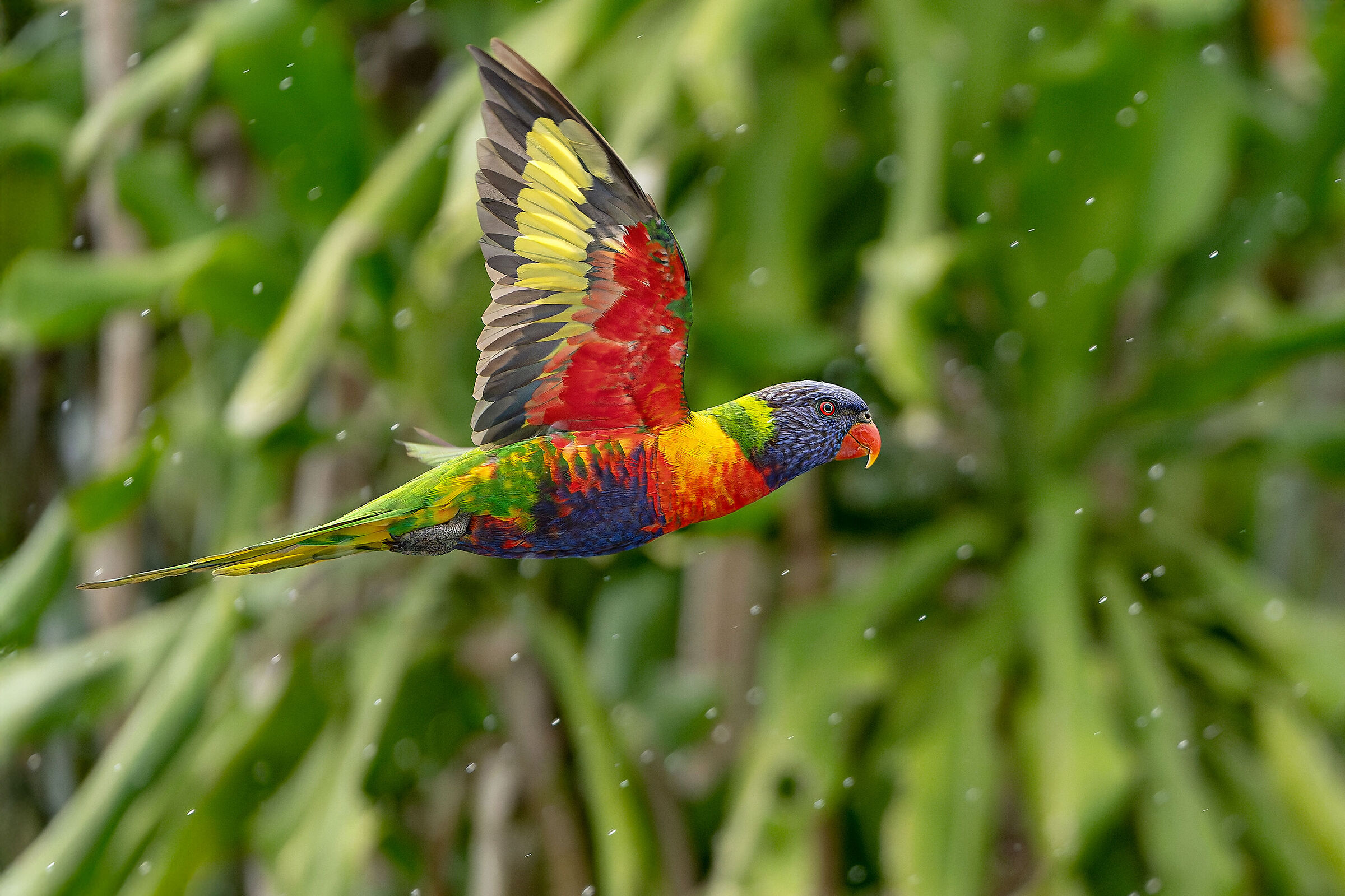 Raindrops keep falling on my head....