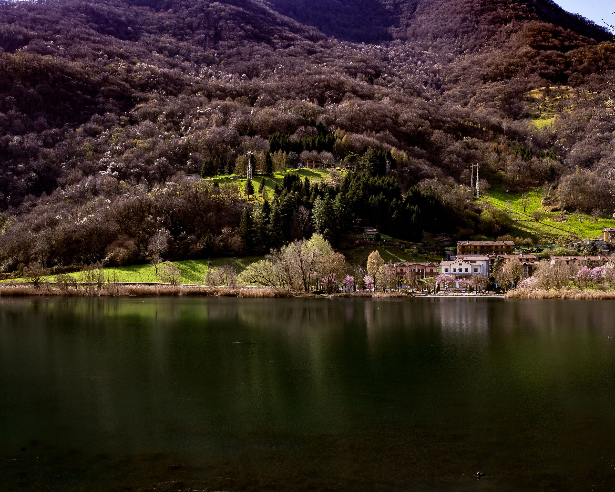 Spring is just around the corner.