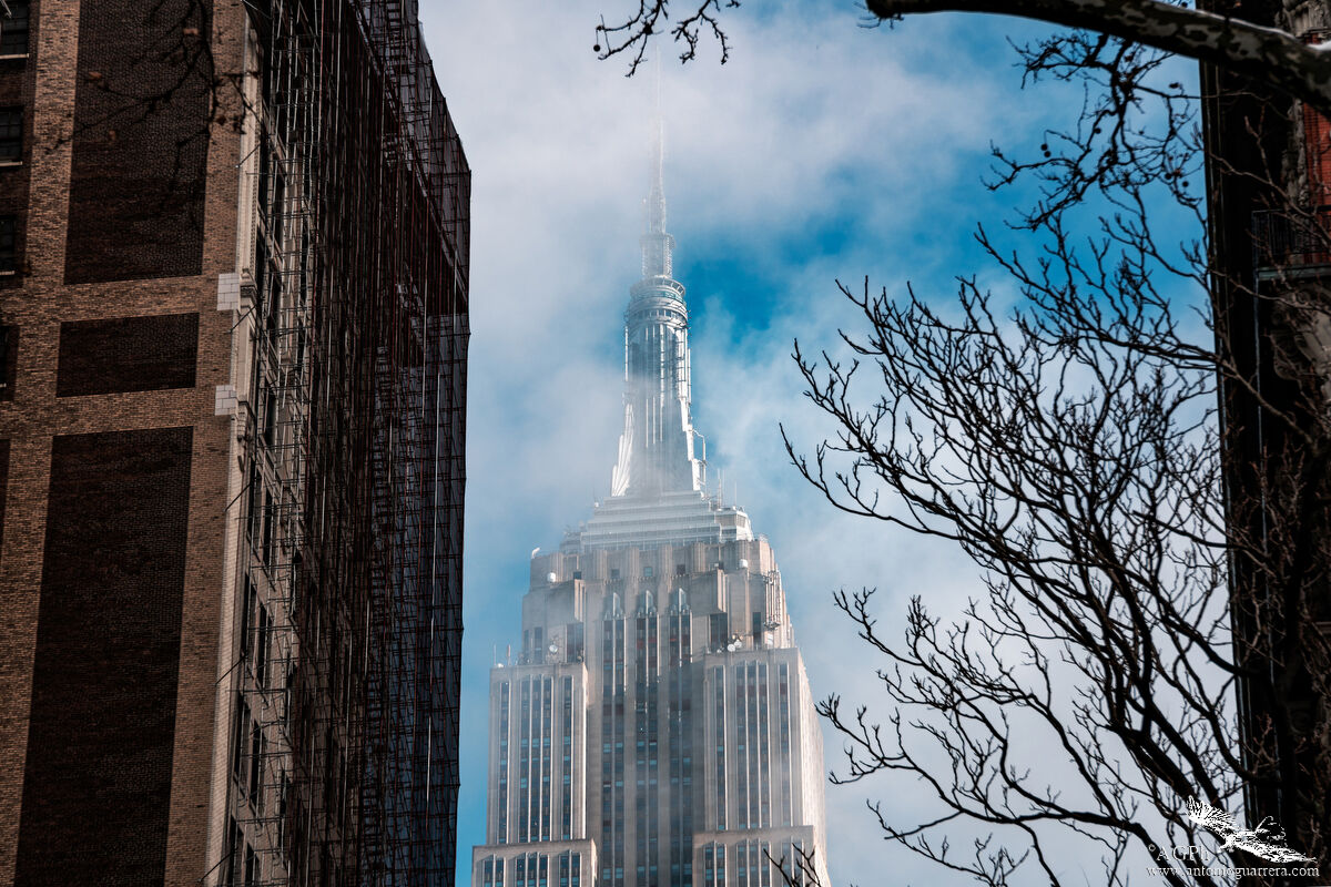 Empire playing hide and seek