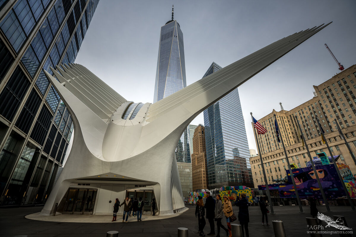 World trade center