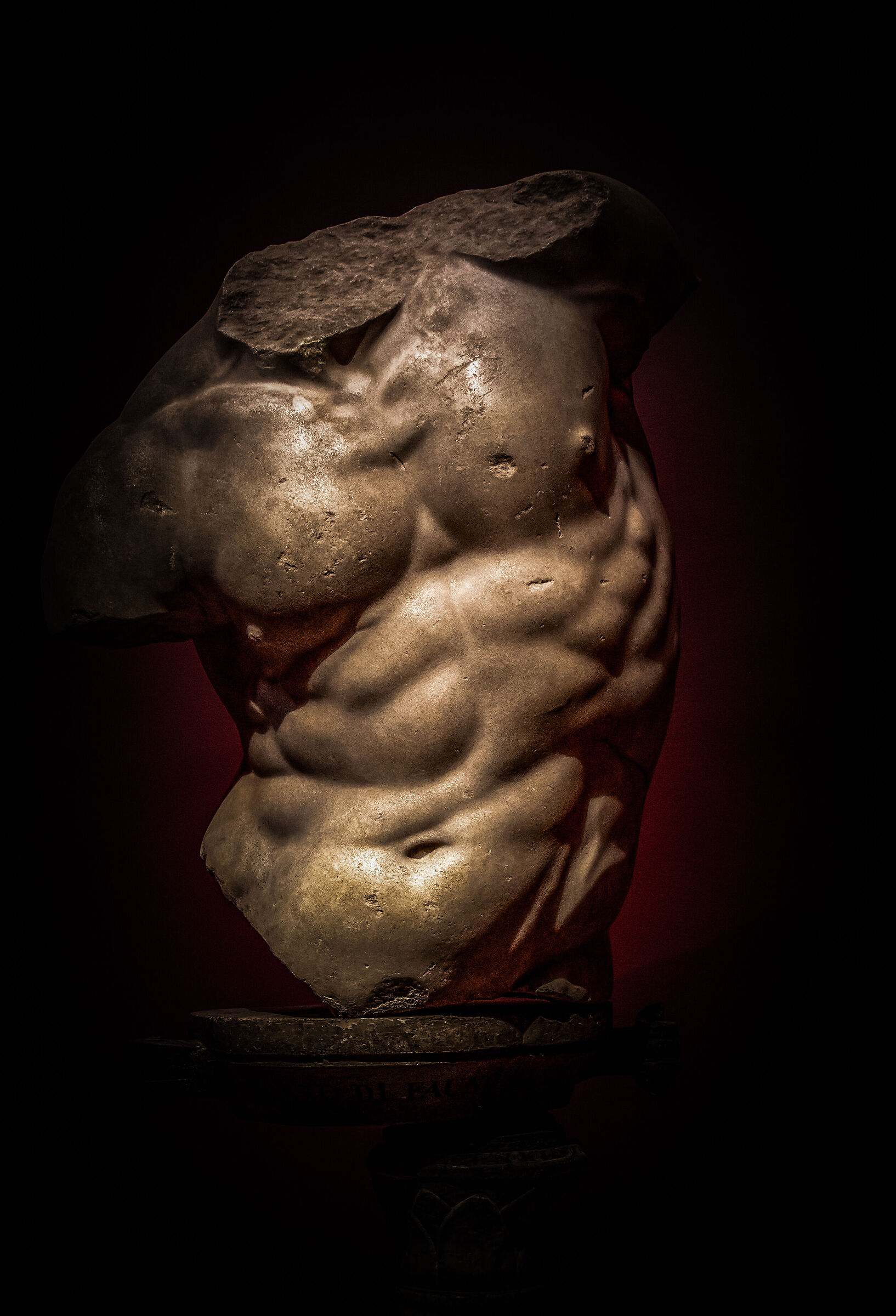 Gaddi's torso