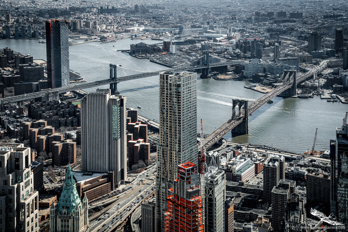 From the Freedom tower