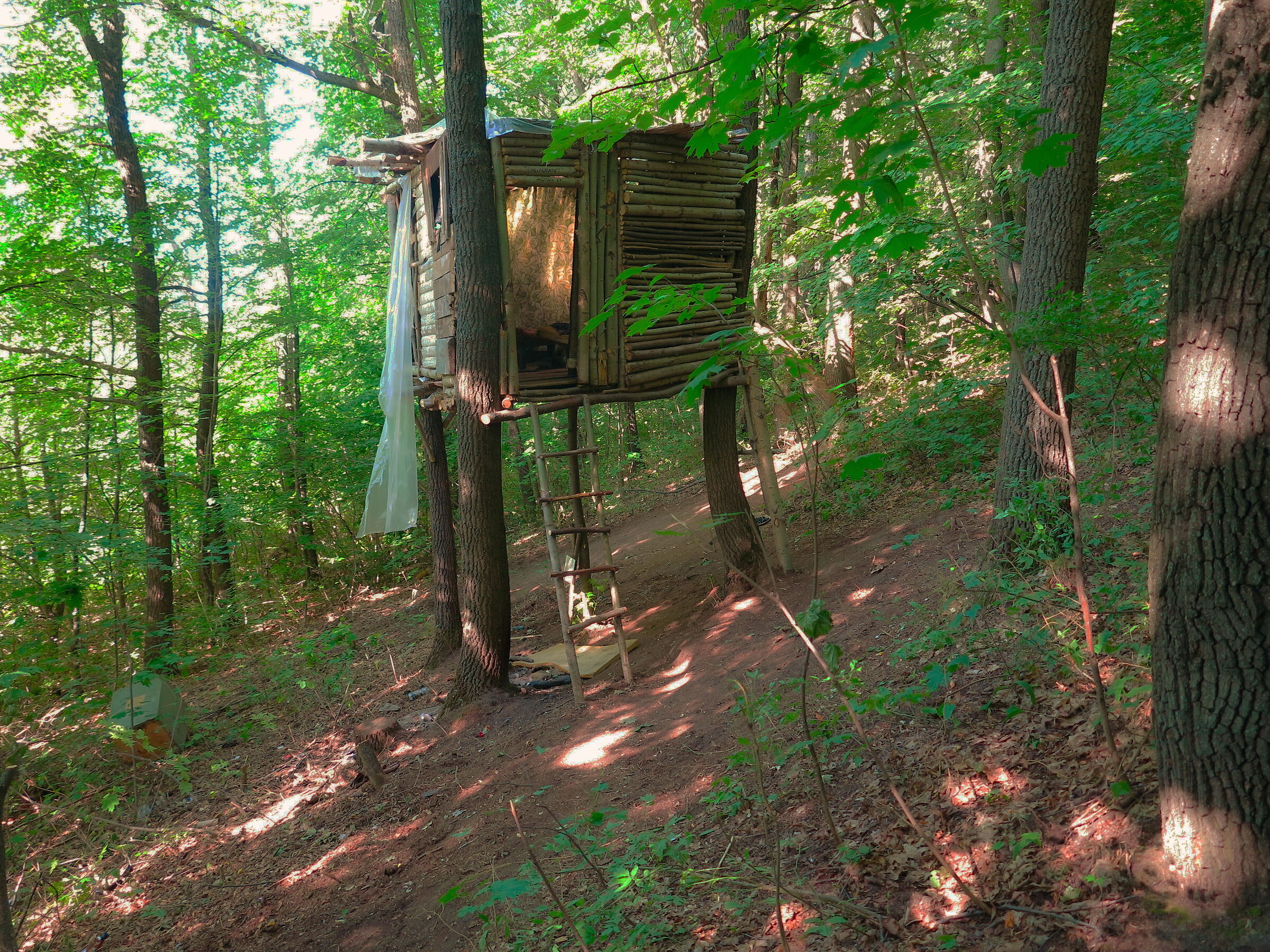 Una casa nella foresta...