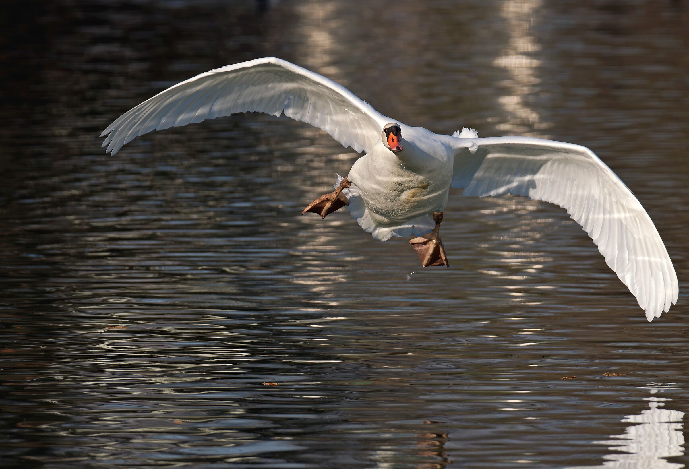 Landing