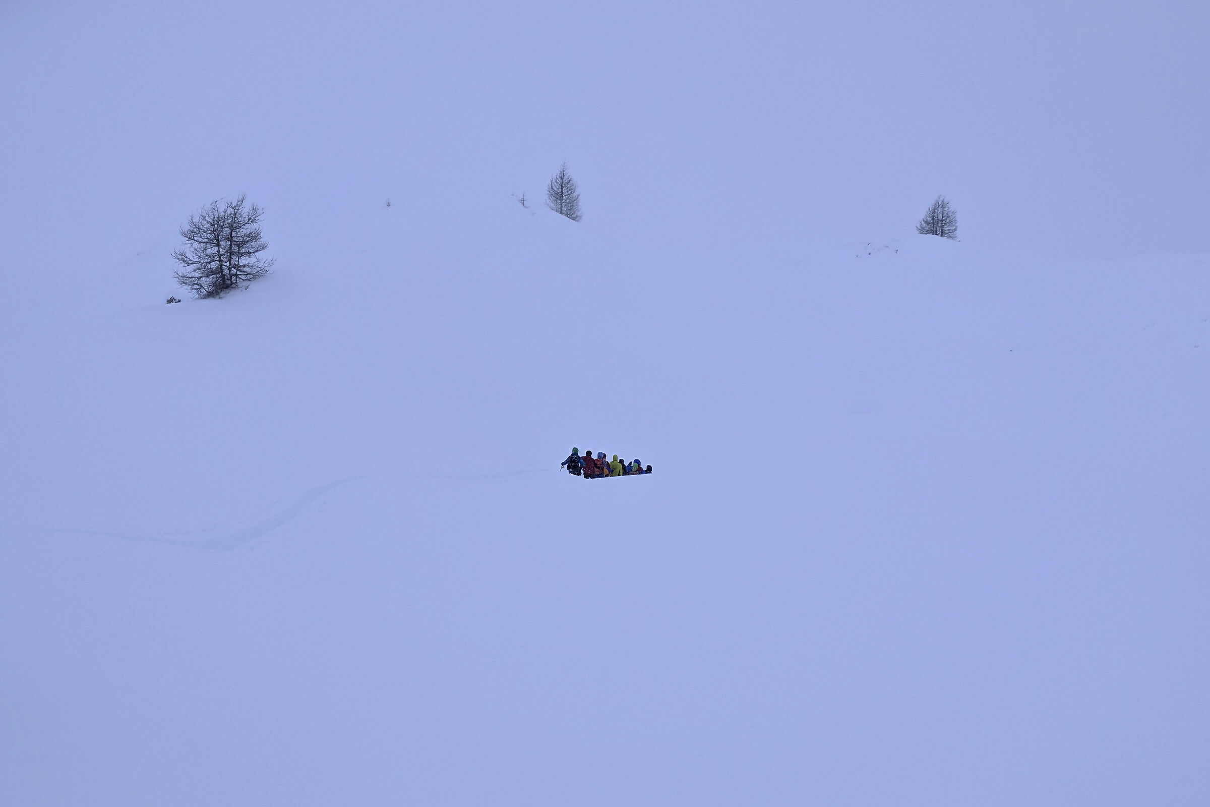 quasi white out
