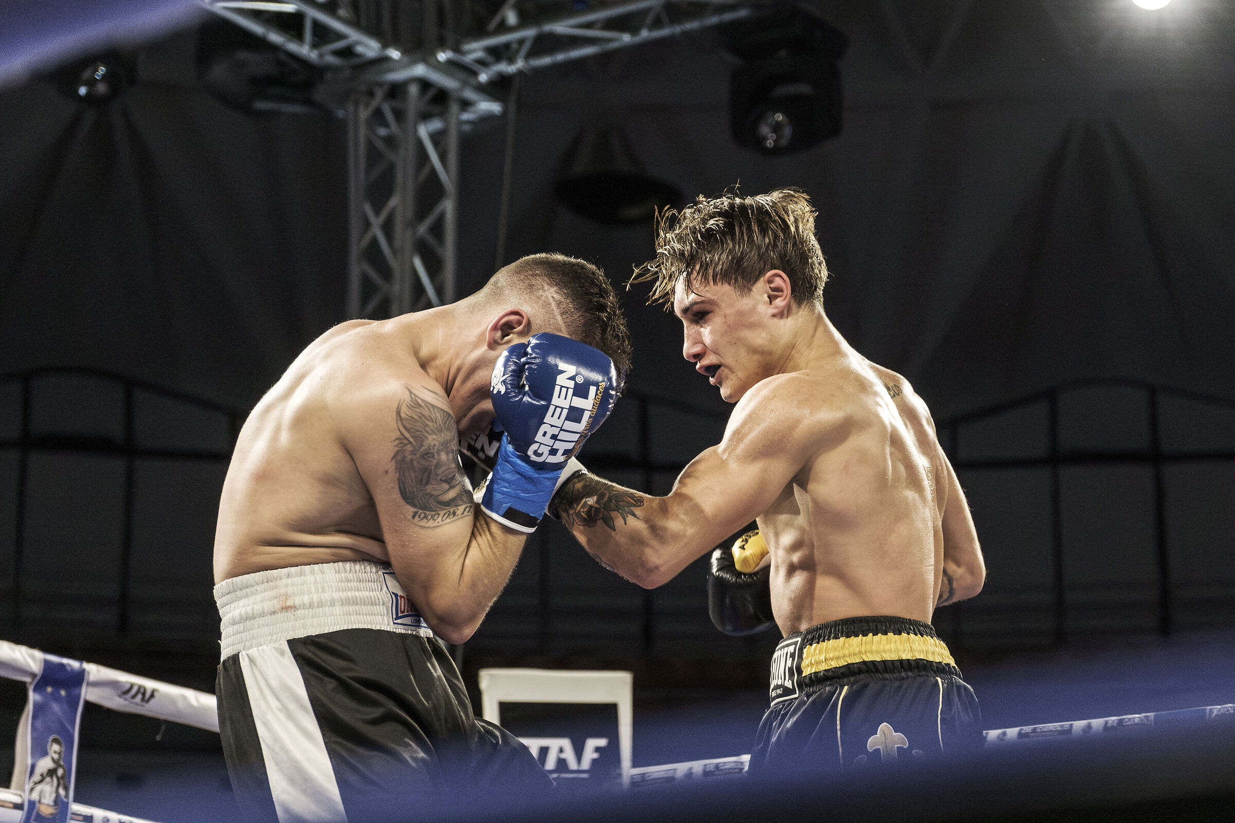 TAF and De Carolis Promotions - Palatiziano 2025