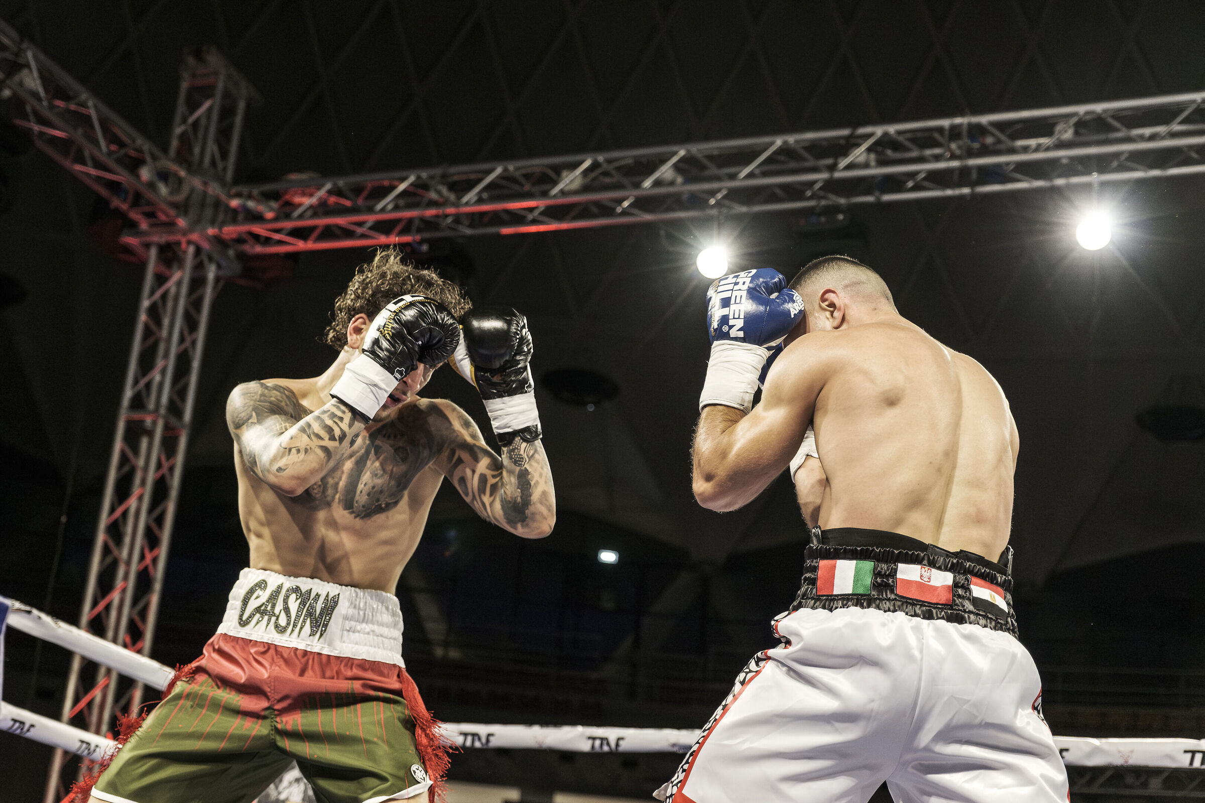 TAF and De Carolis Promotions - Palatiziano 2025