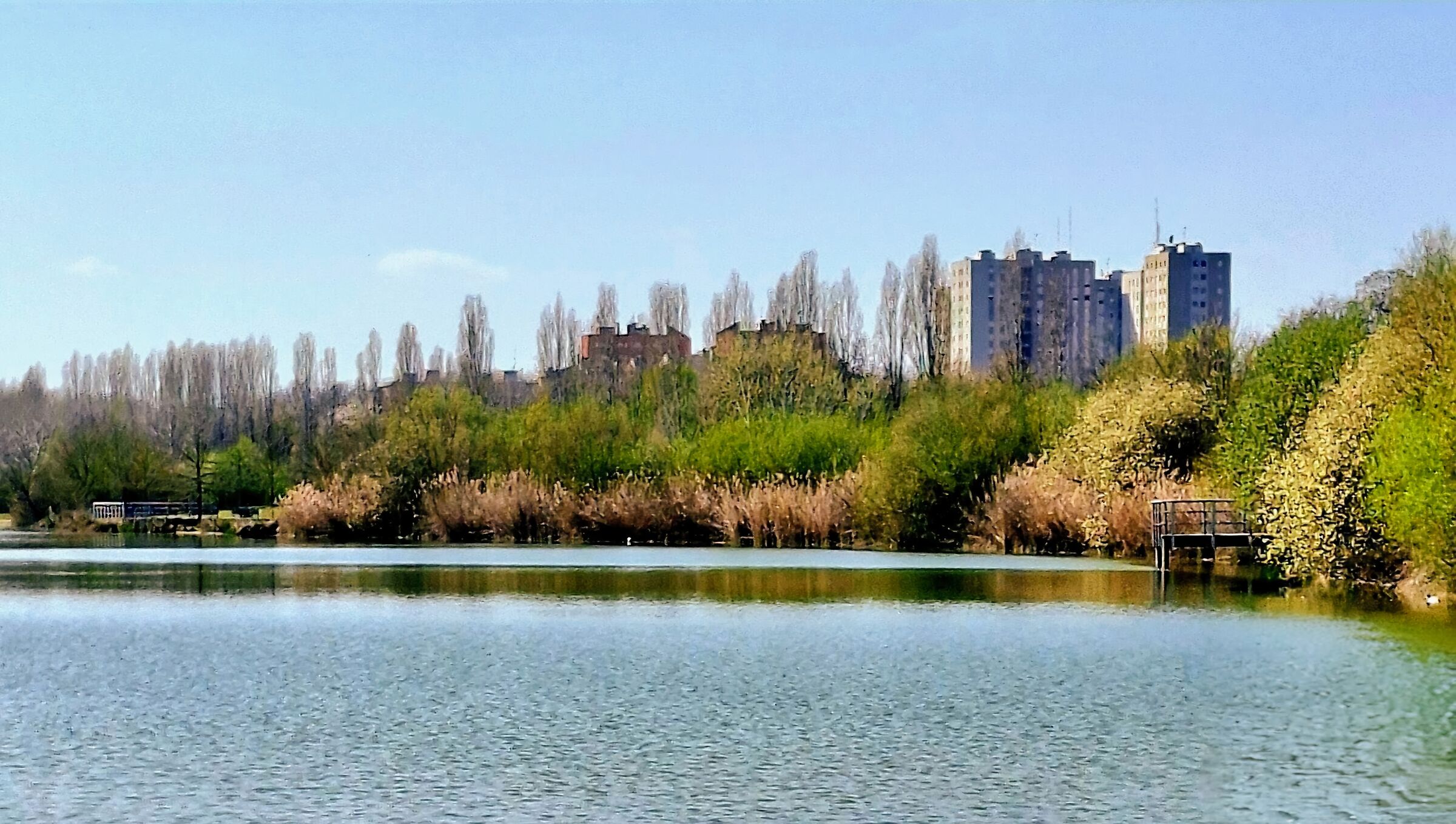 Anche wuesta è  Milao