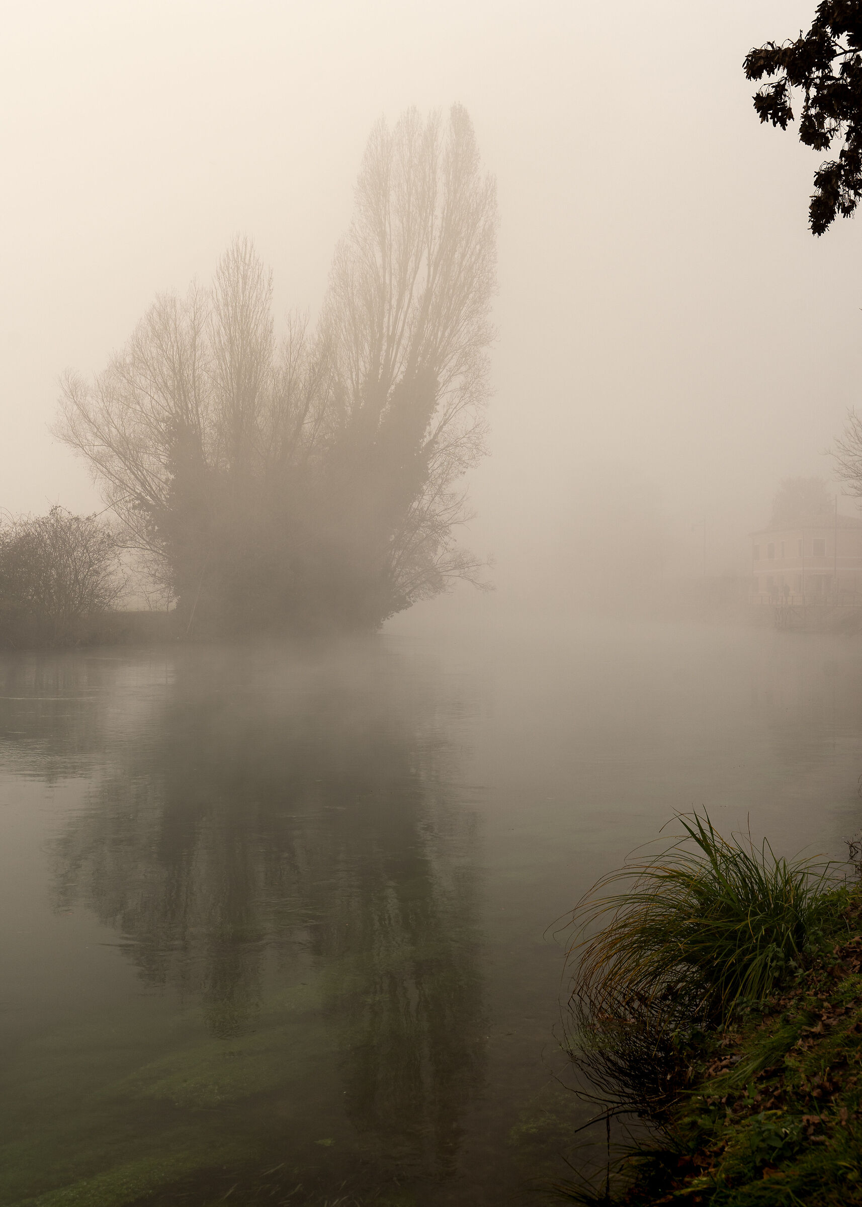 Untitled Photo