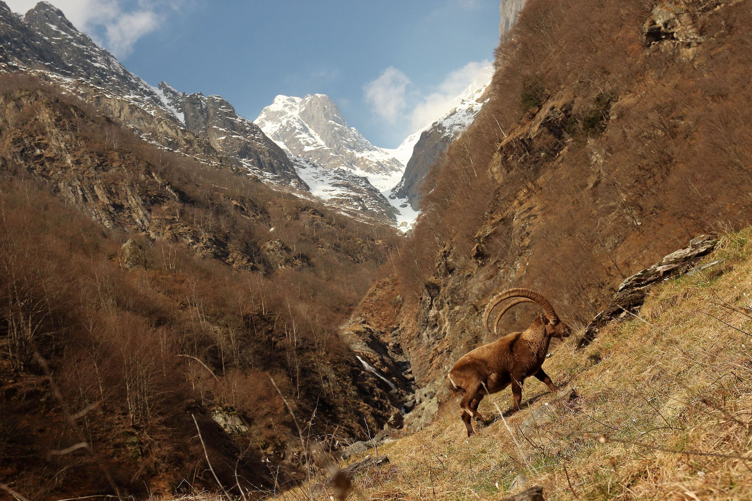 verso il Brunone