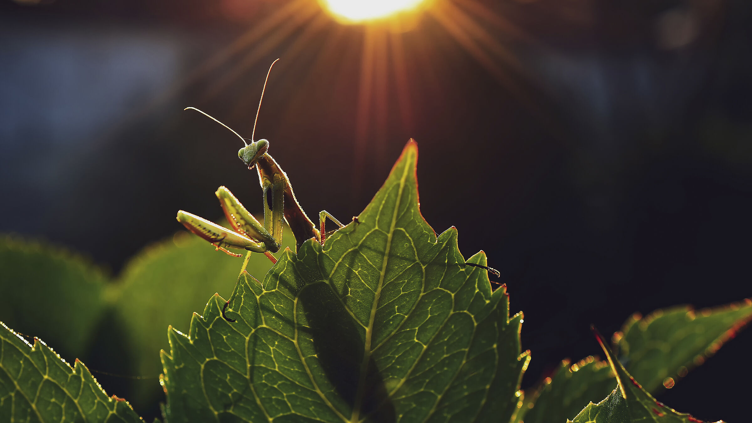 finalmente il sole....