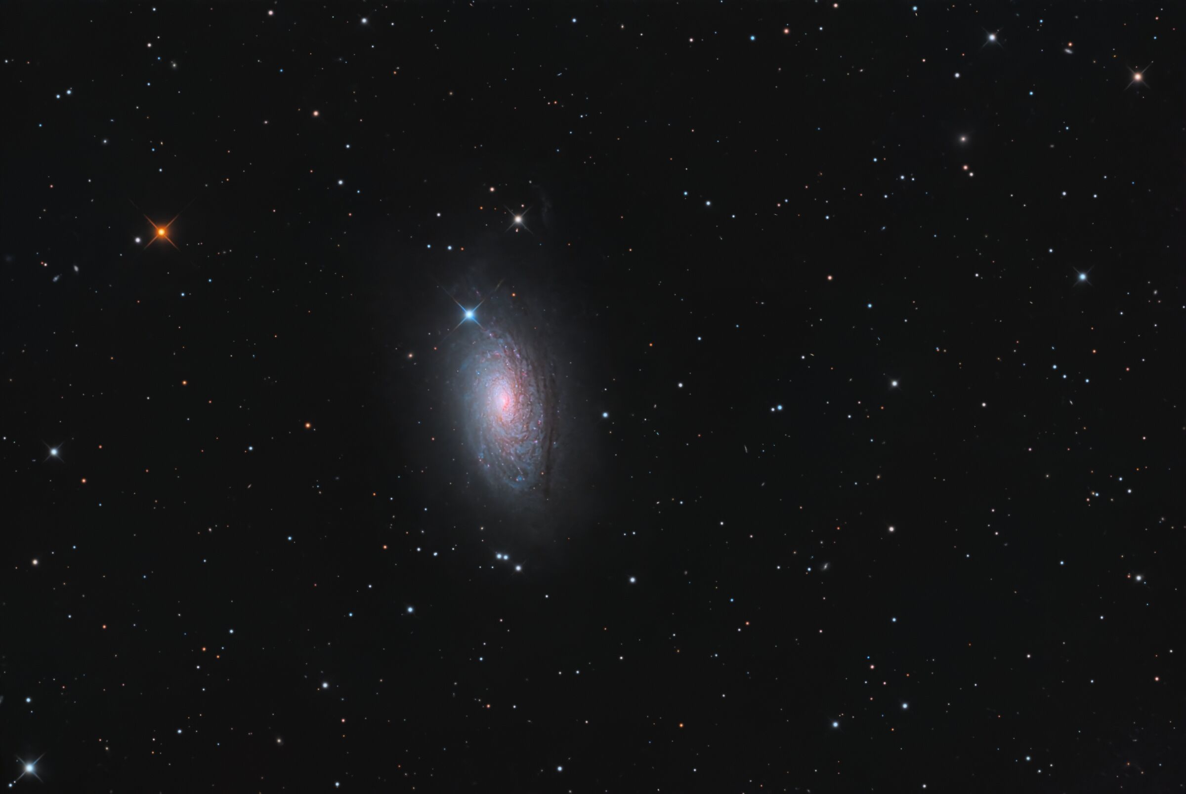 Sunflower Galaxy