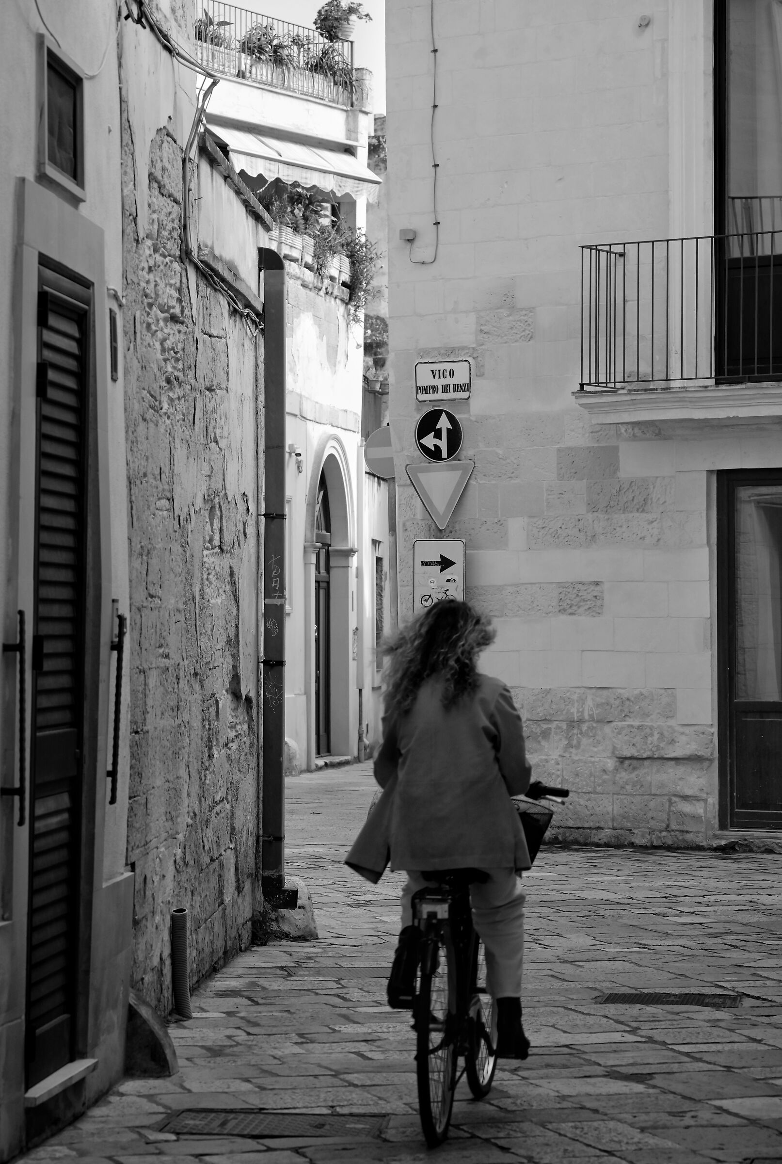 Untitled Photo