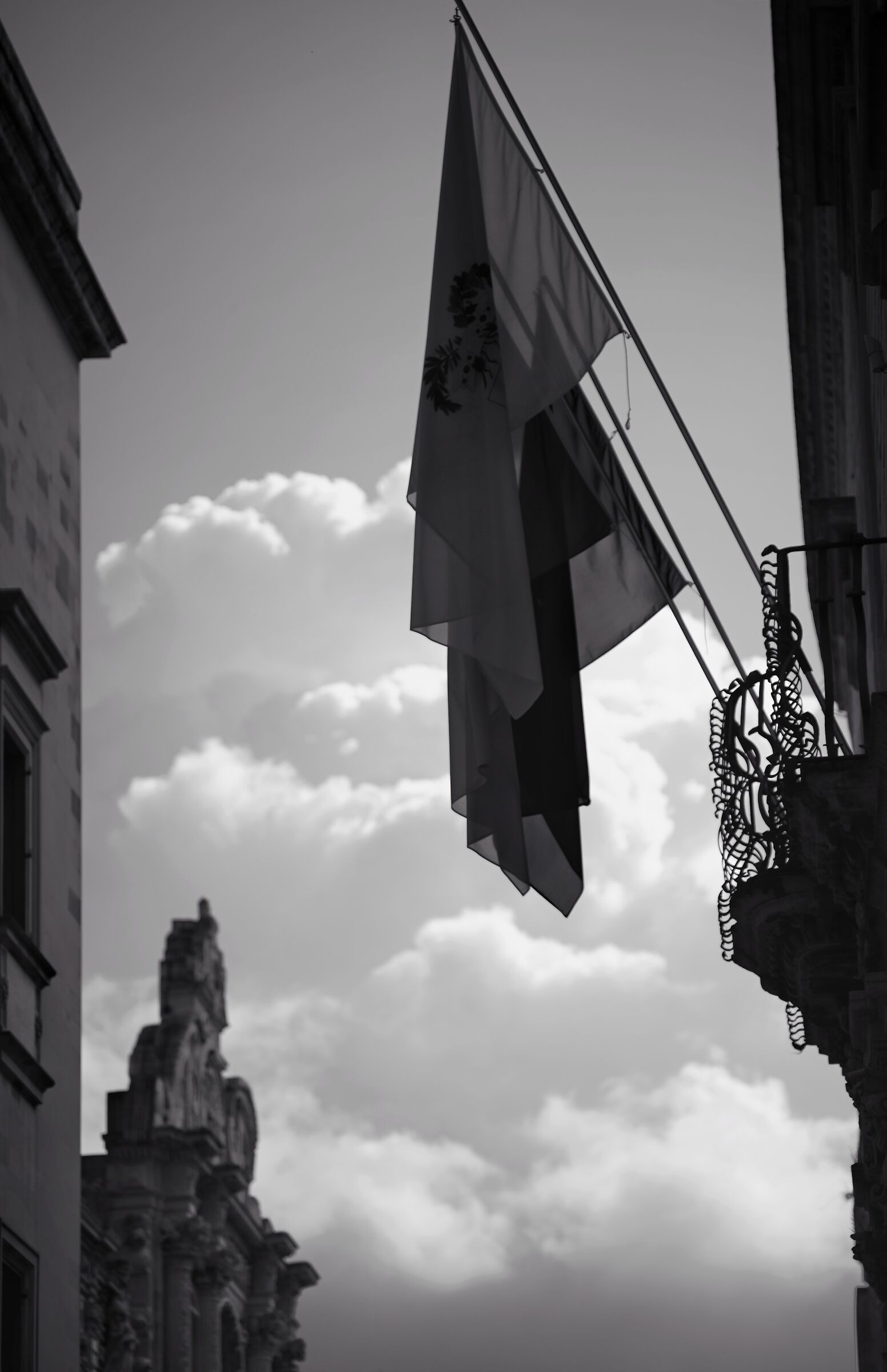 Untitled Photo