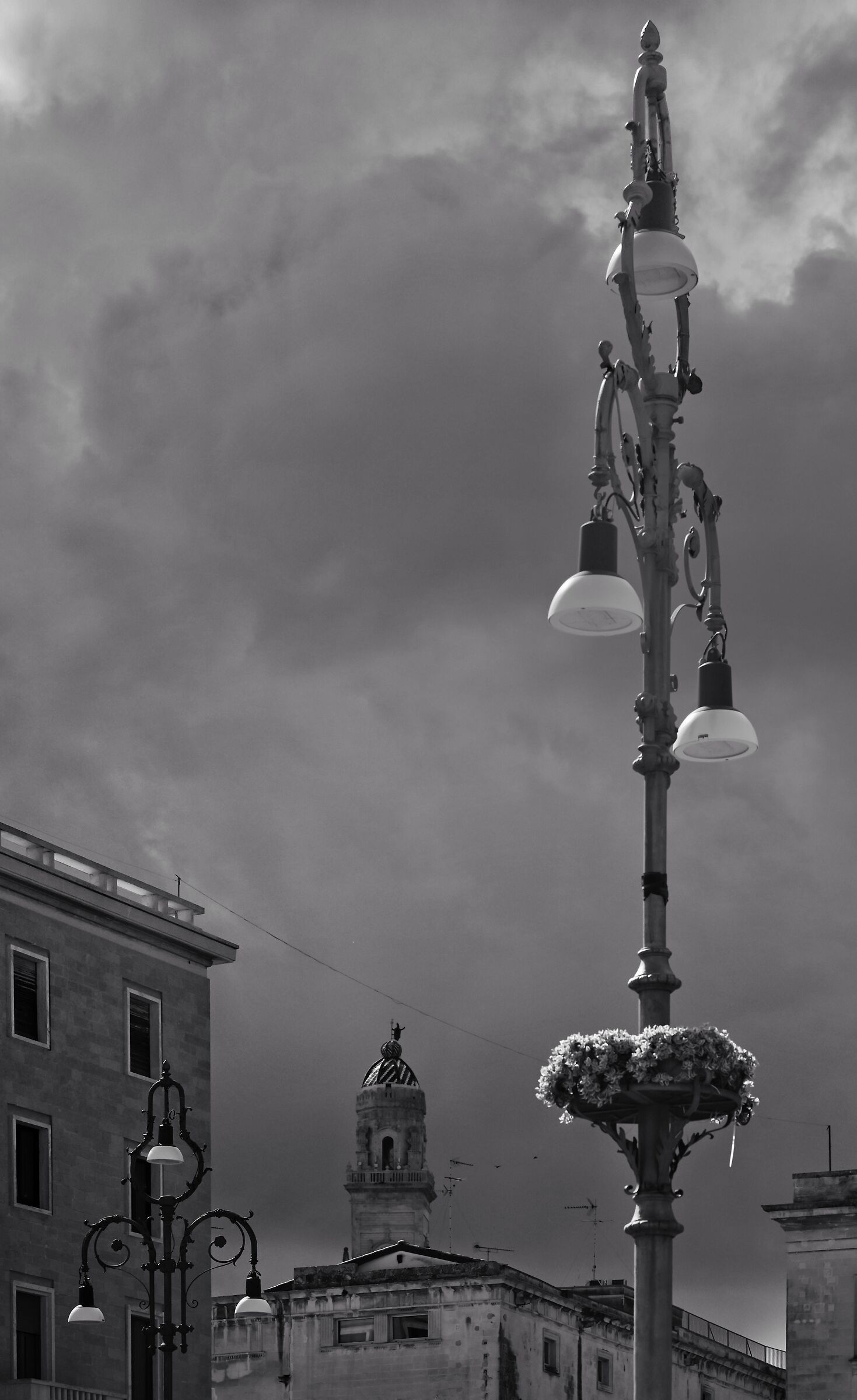 Untitled Photo