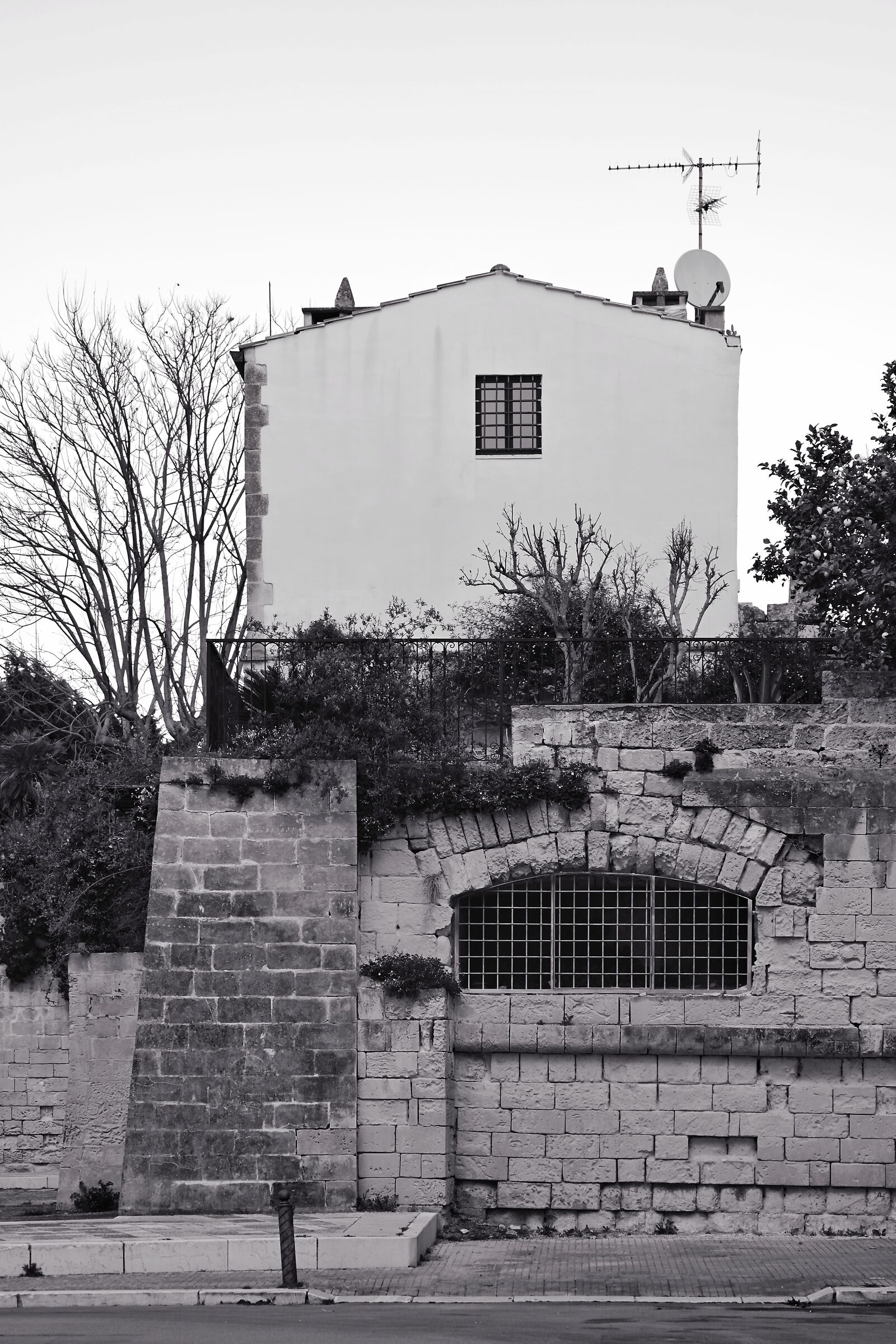 Untitled Photo