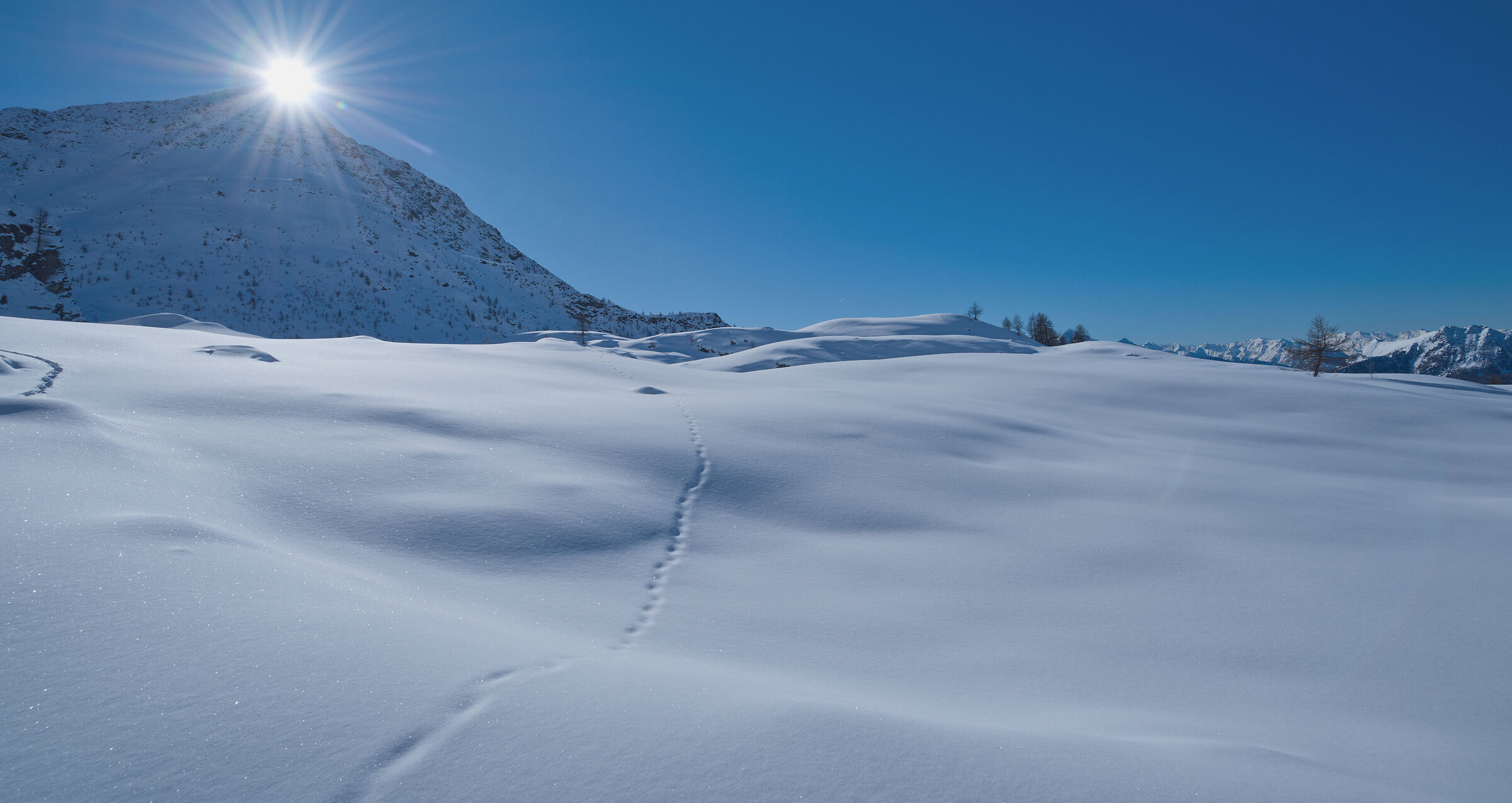 Val d'Aosta-gennaio 2024 ciaspolata Artaz-Alpe Champlon