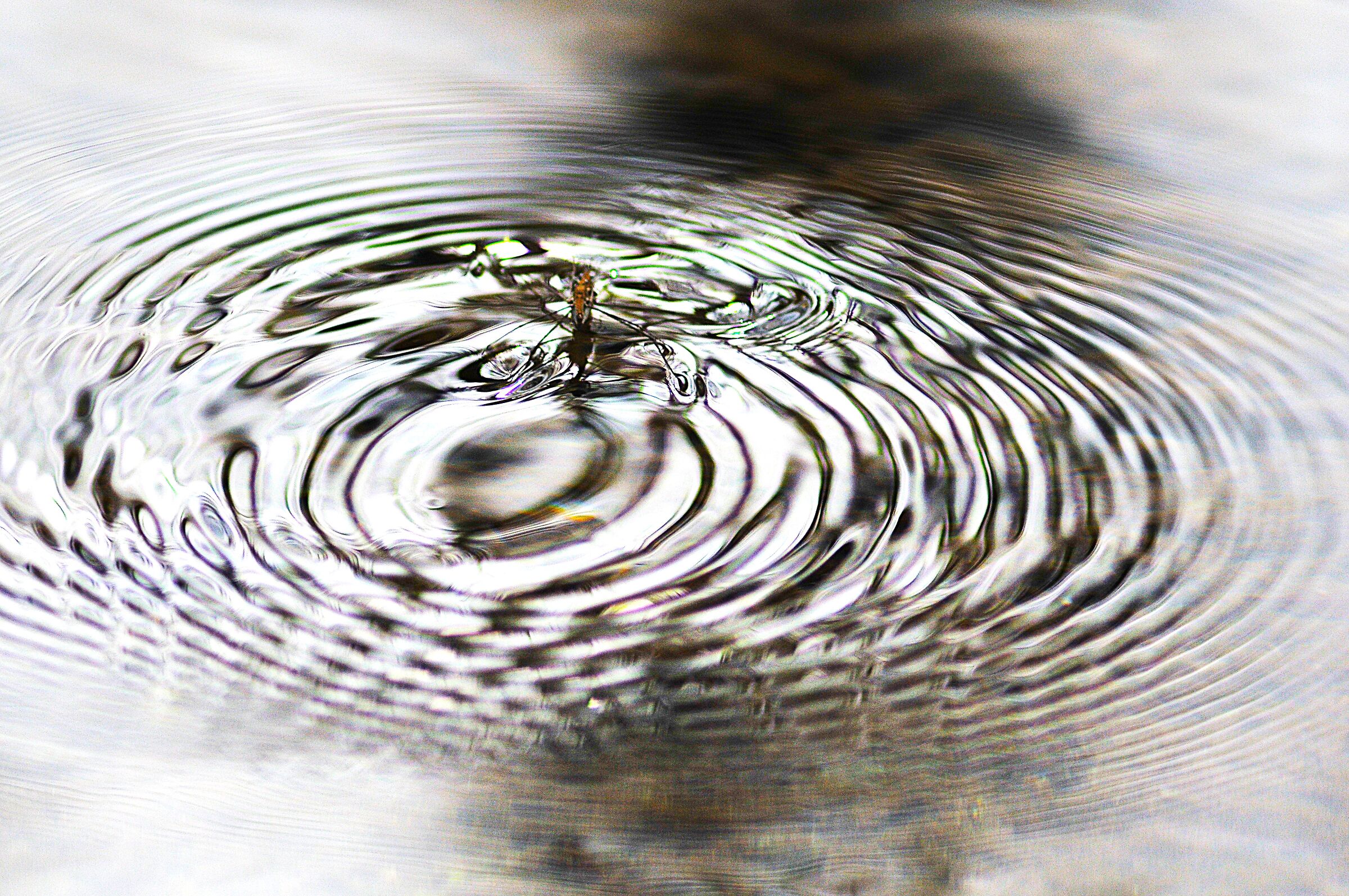 Onde ipnotiche nell'acqua
