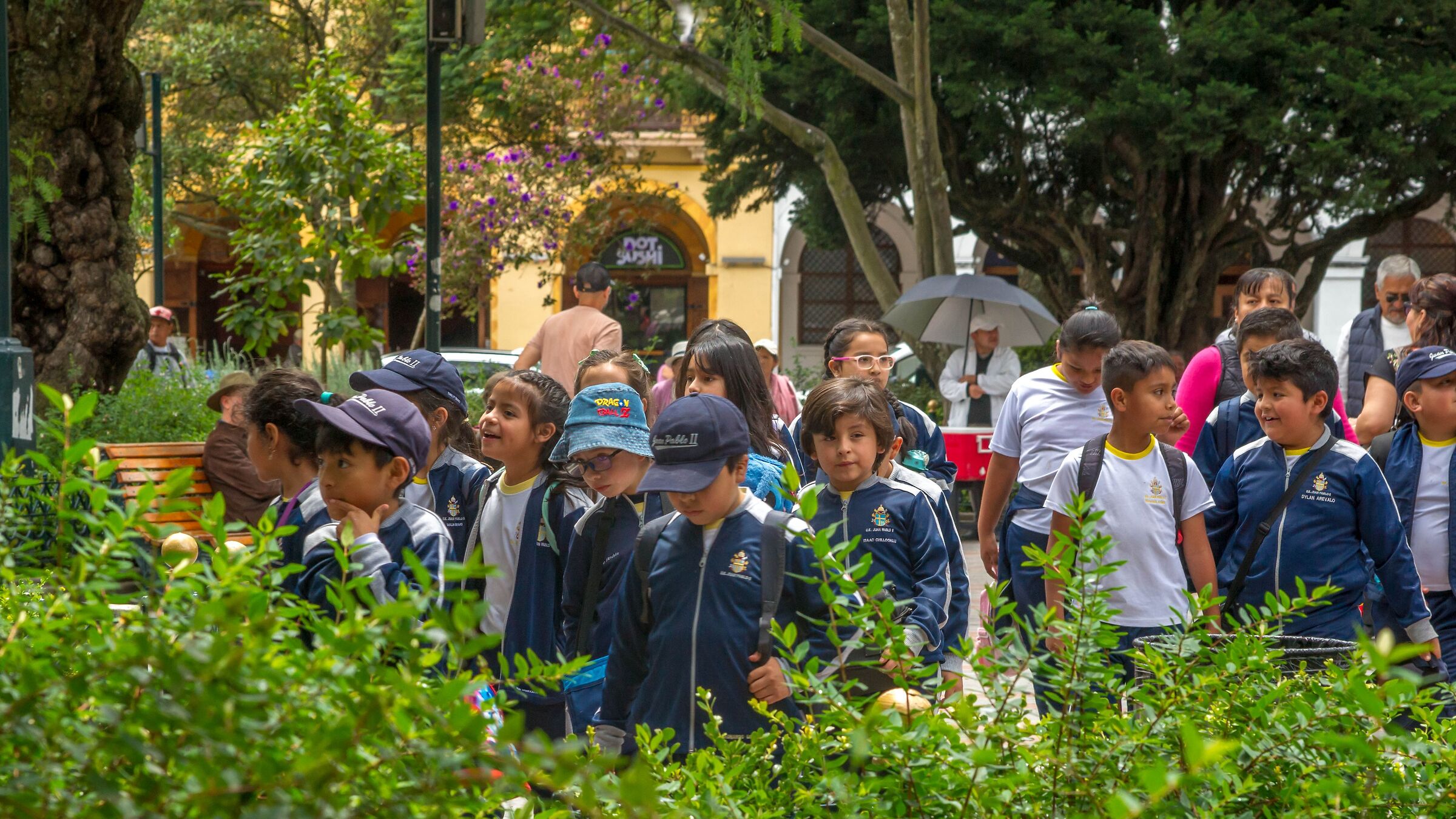 Class Outing in the Park: The Kids Are Alright