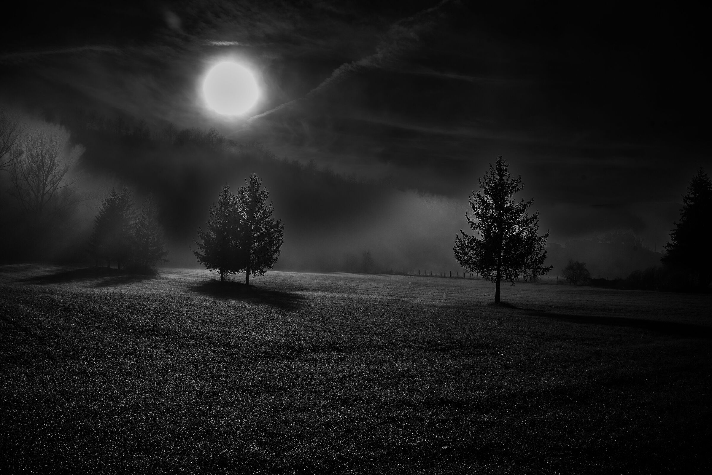 fOGGY NIGHT