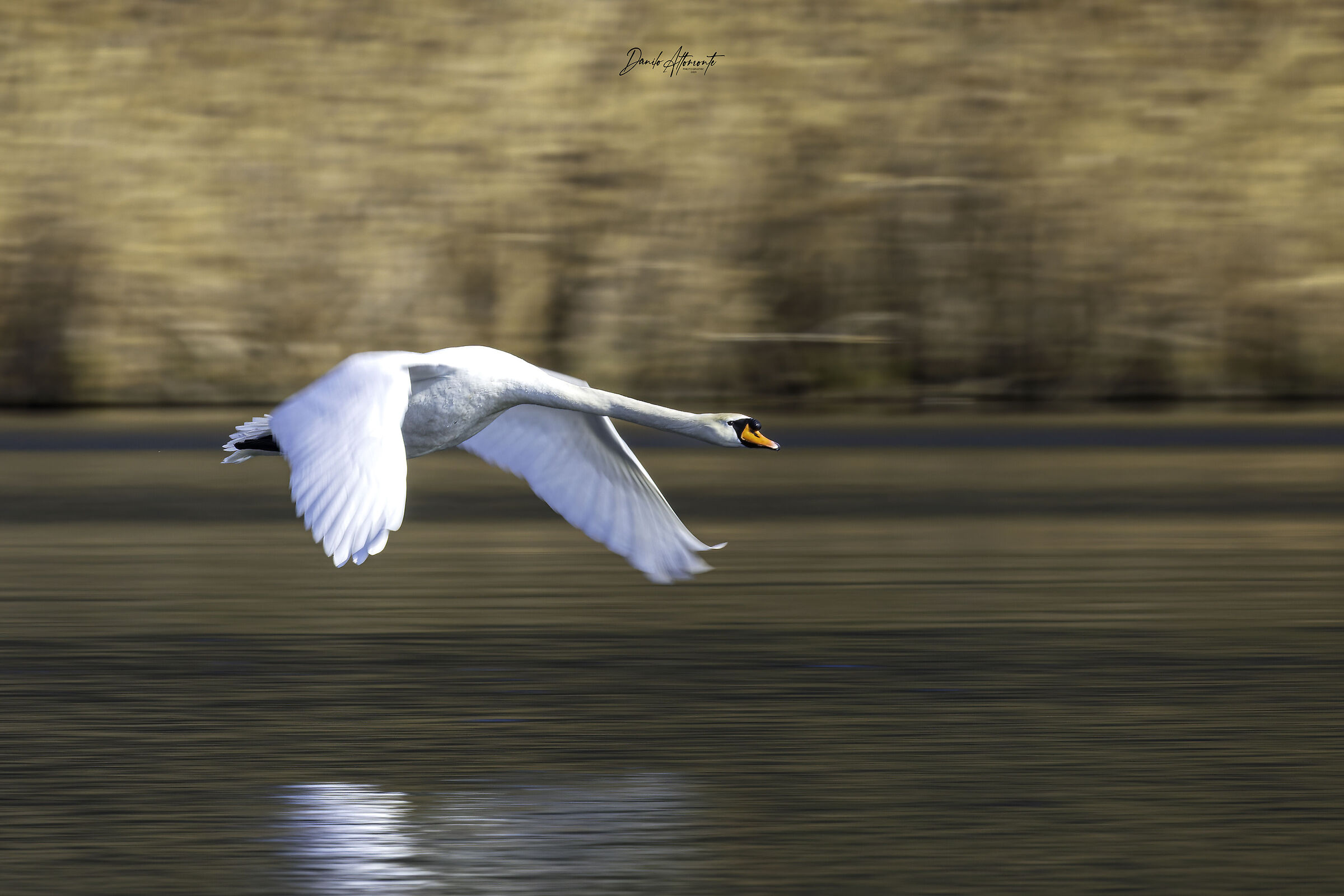 Untitled Photo