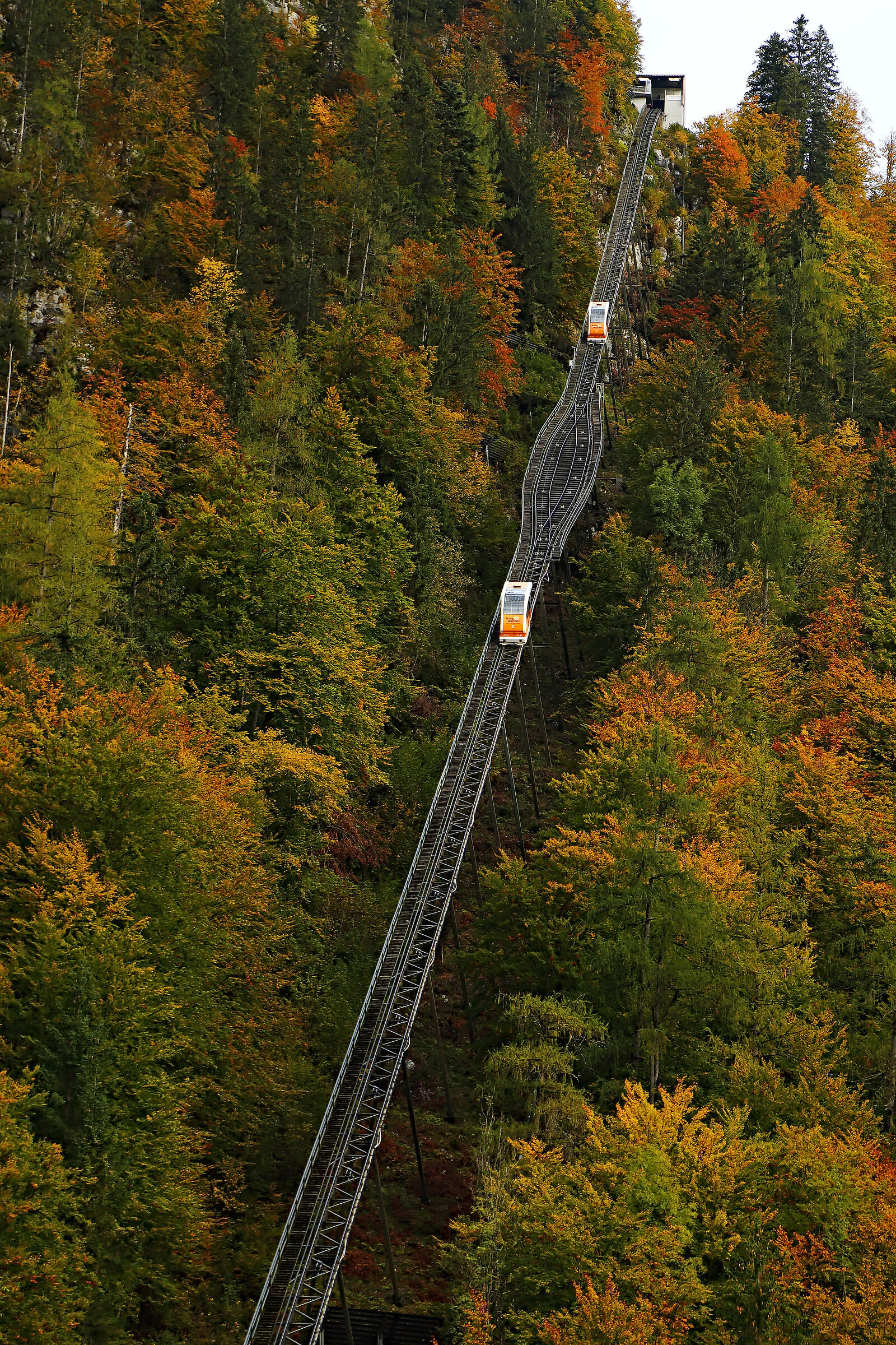 I was up there! Hallstatt