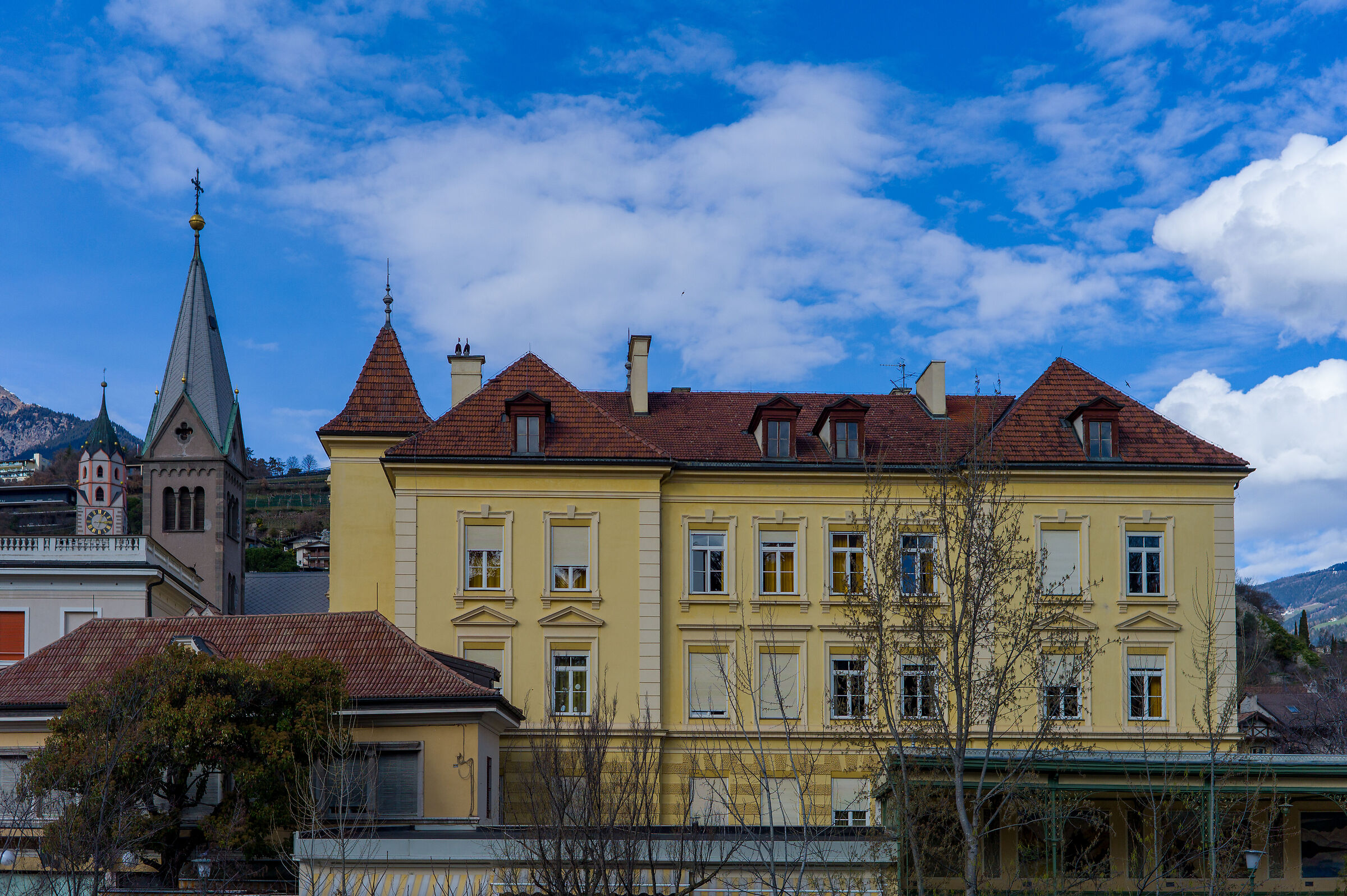 Untitled Photo