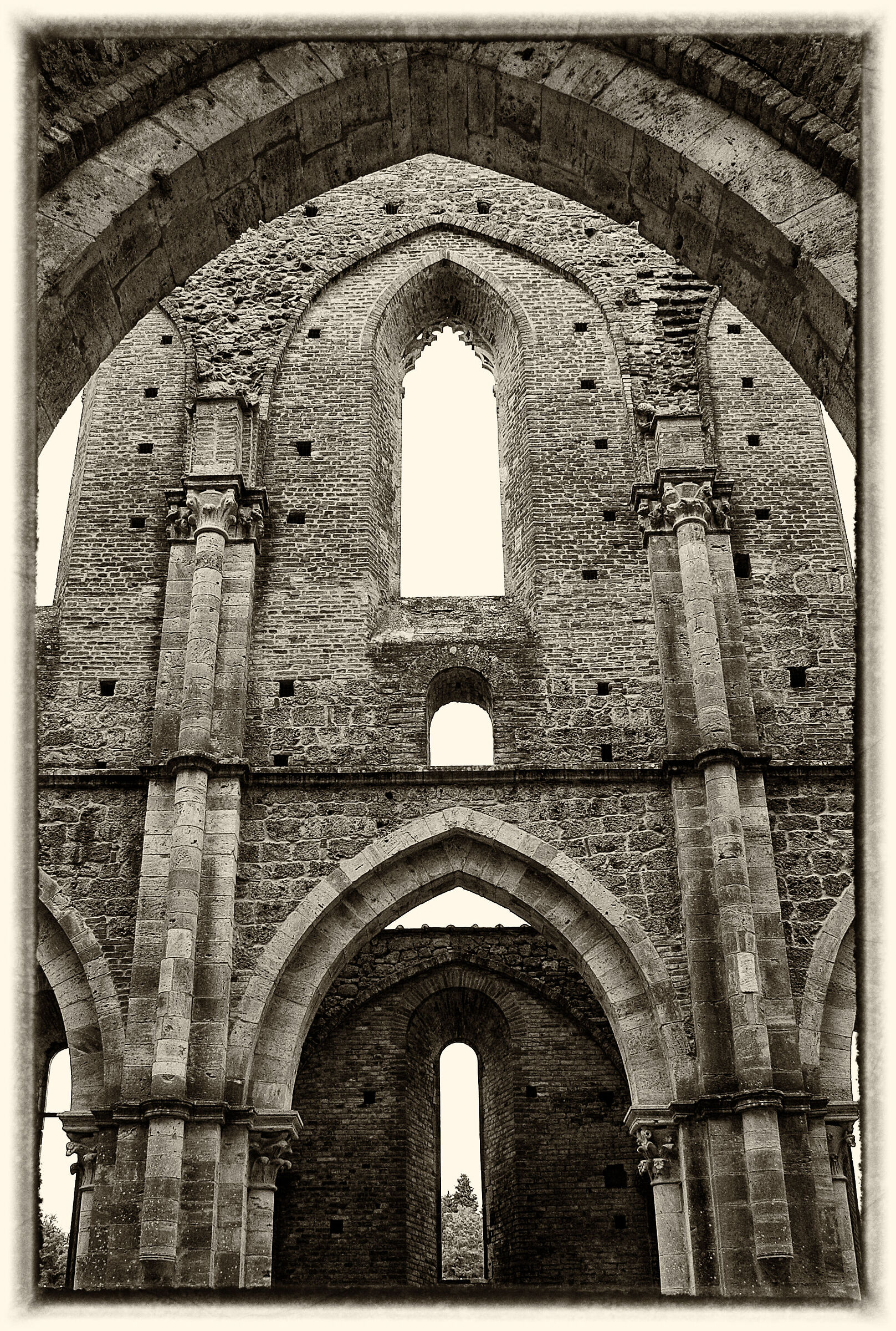 Abbazia di San Galgano 2