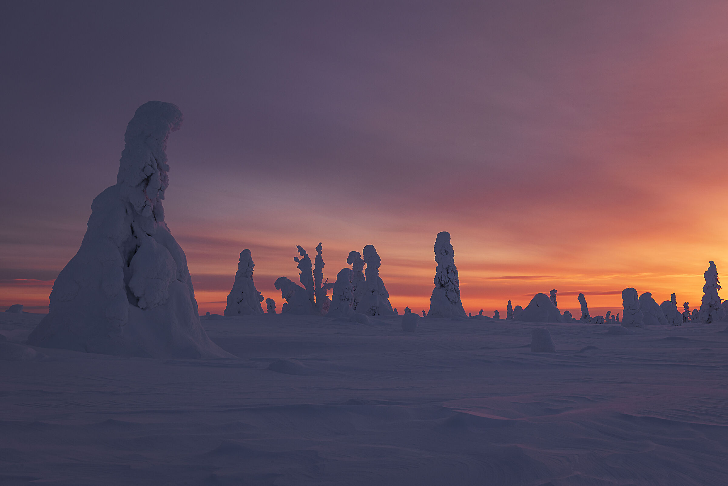 Lappish land