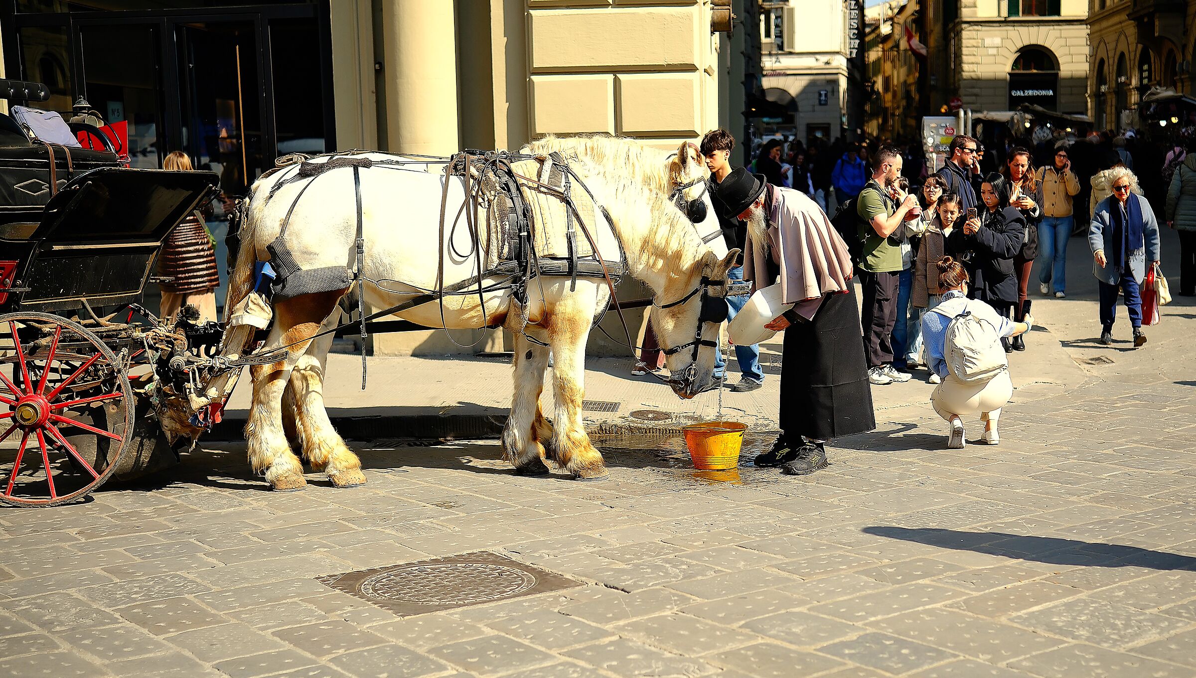 Street in Florence