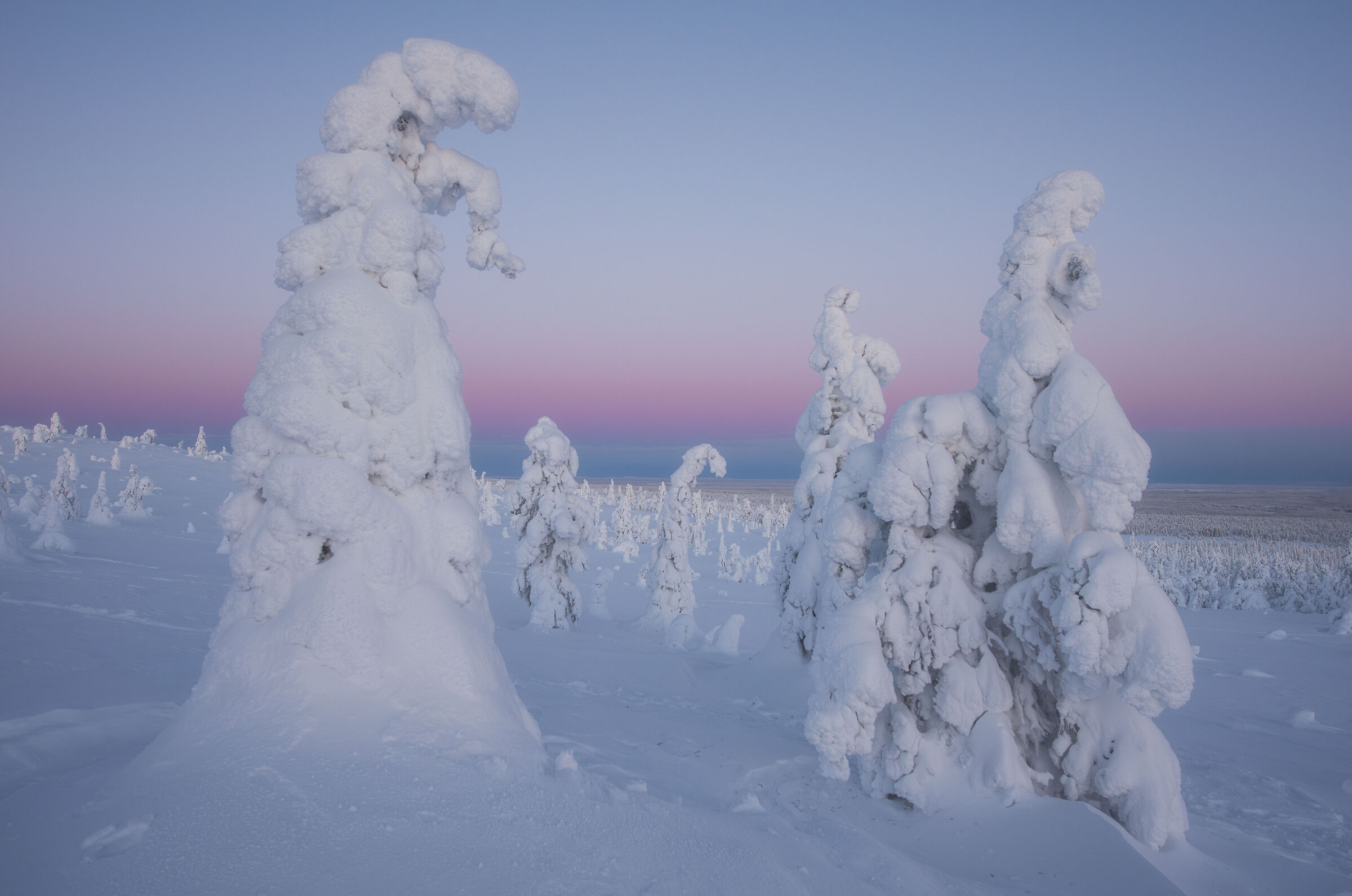 Northern Lands