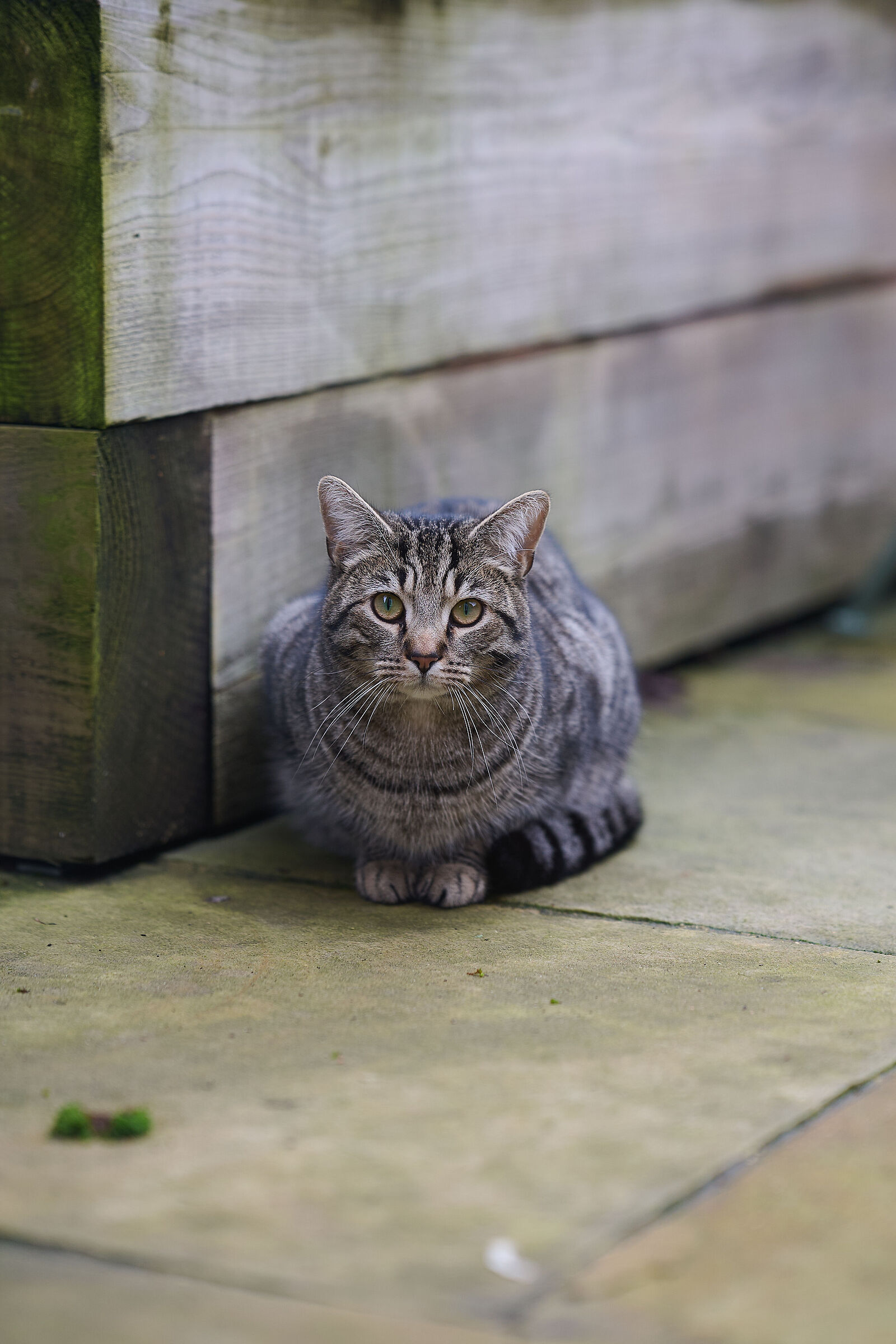 Sguardi da un'altra realtà