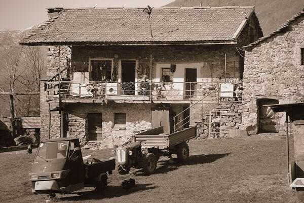 Foto
