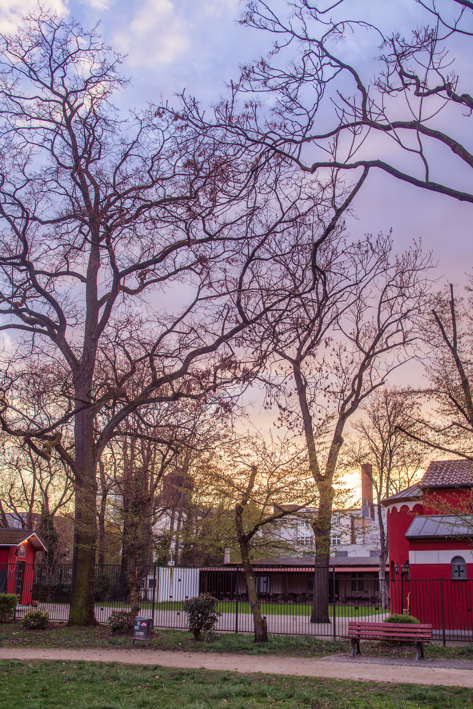 Tramonto al parco