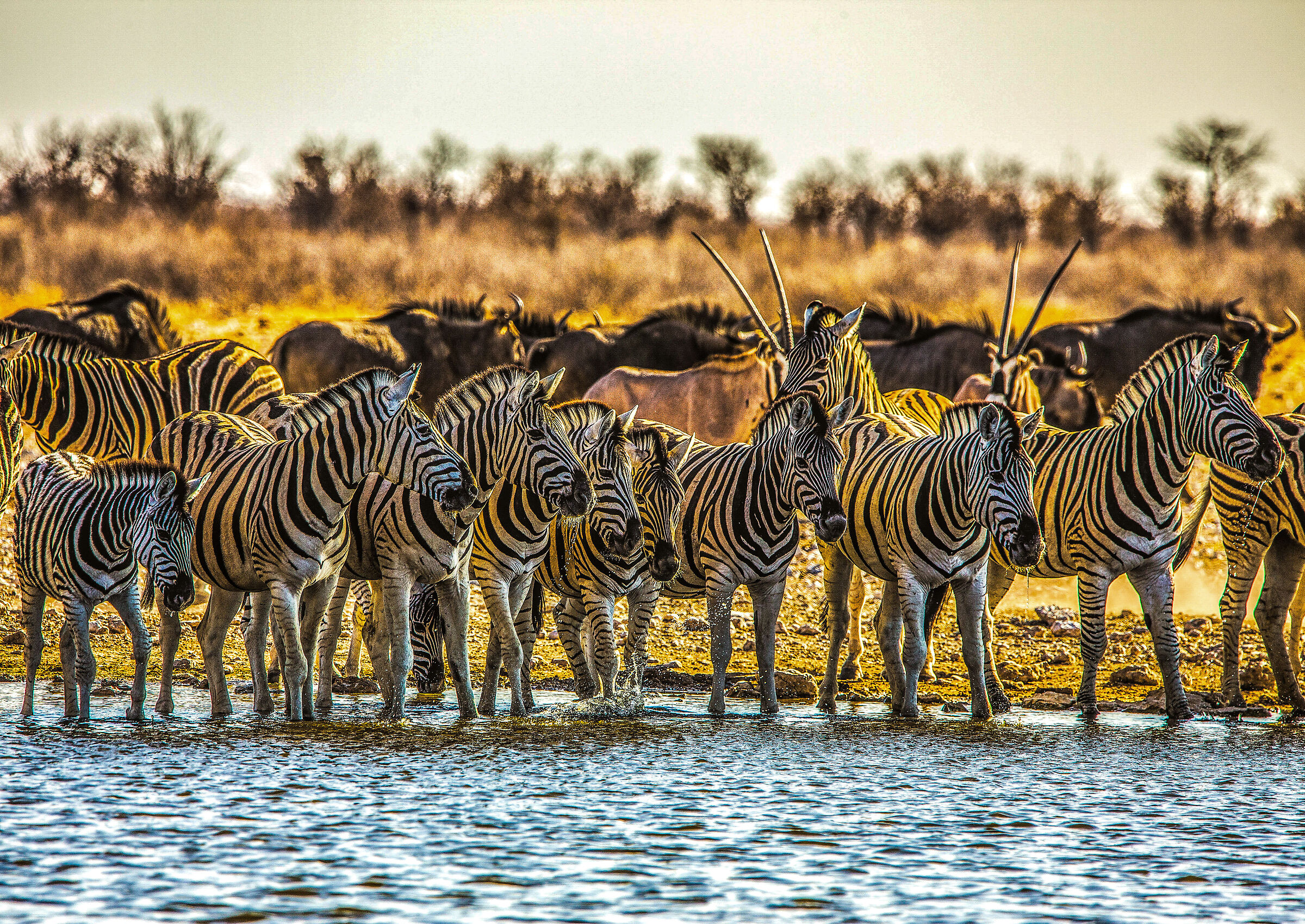 africa