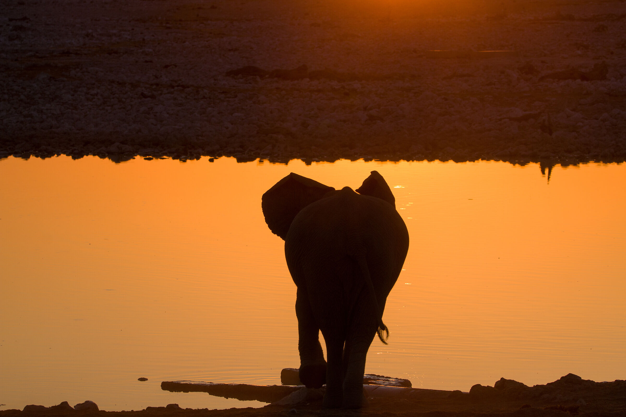 africa