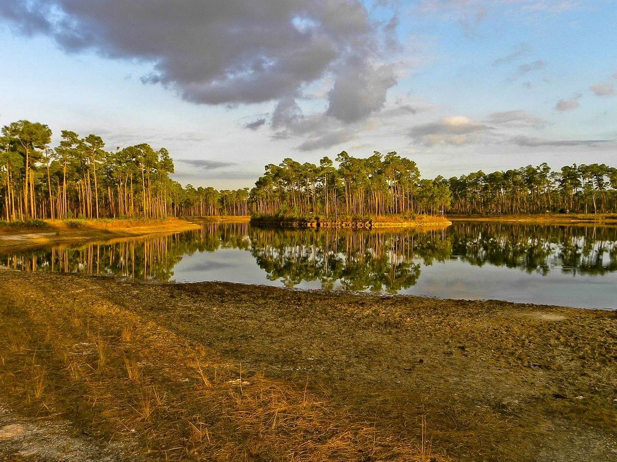 USA - Florida - Everglades